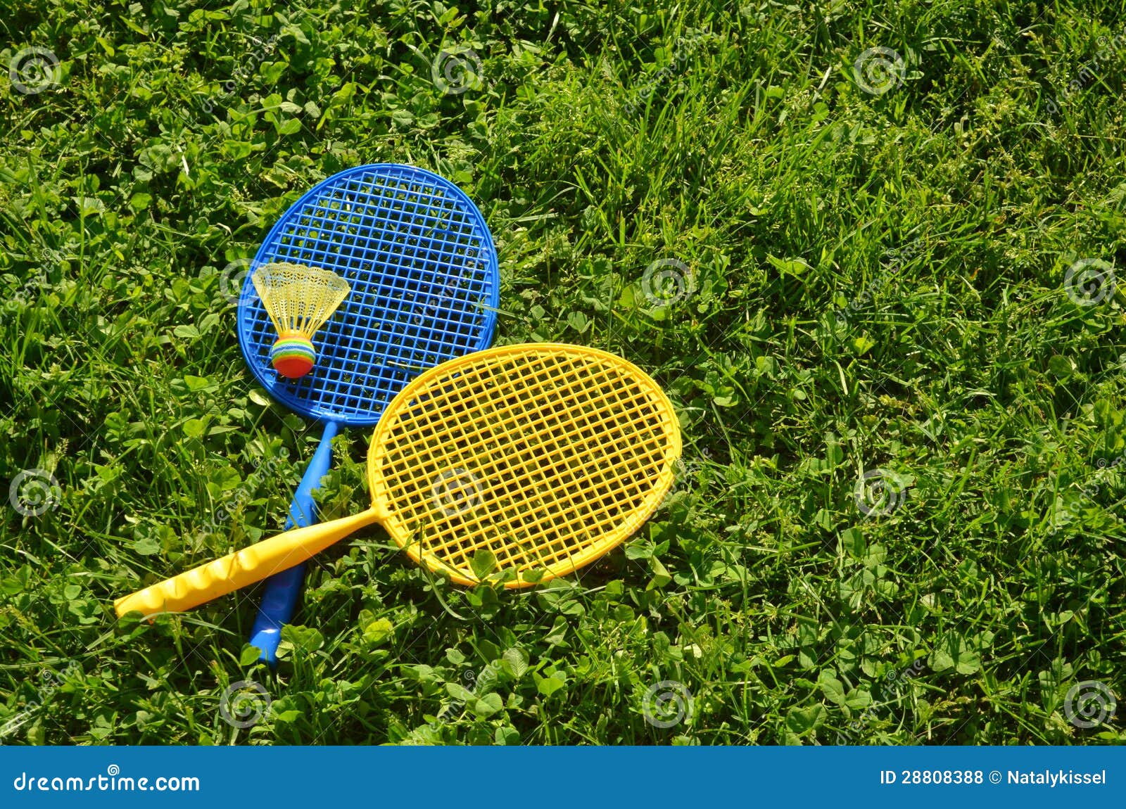 Two Badminton Rackets on the Green Grass Stock Photo Image of green