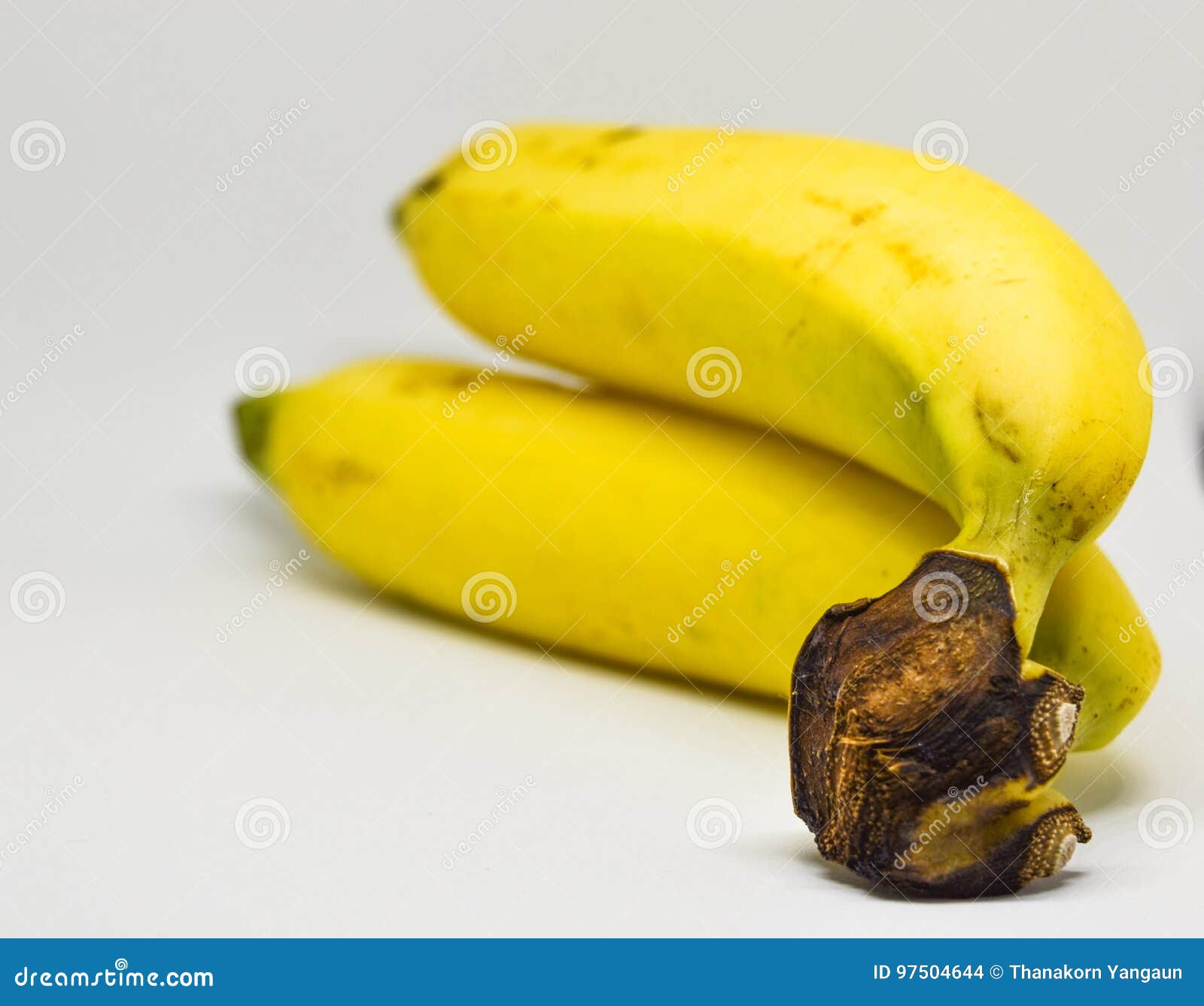 two banana on white background, ready to eat.