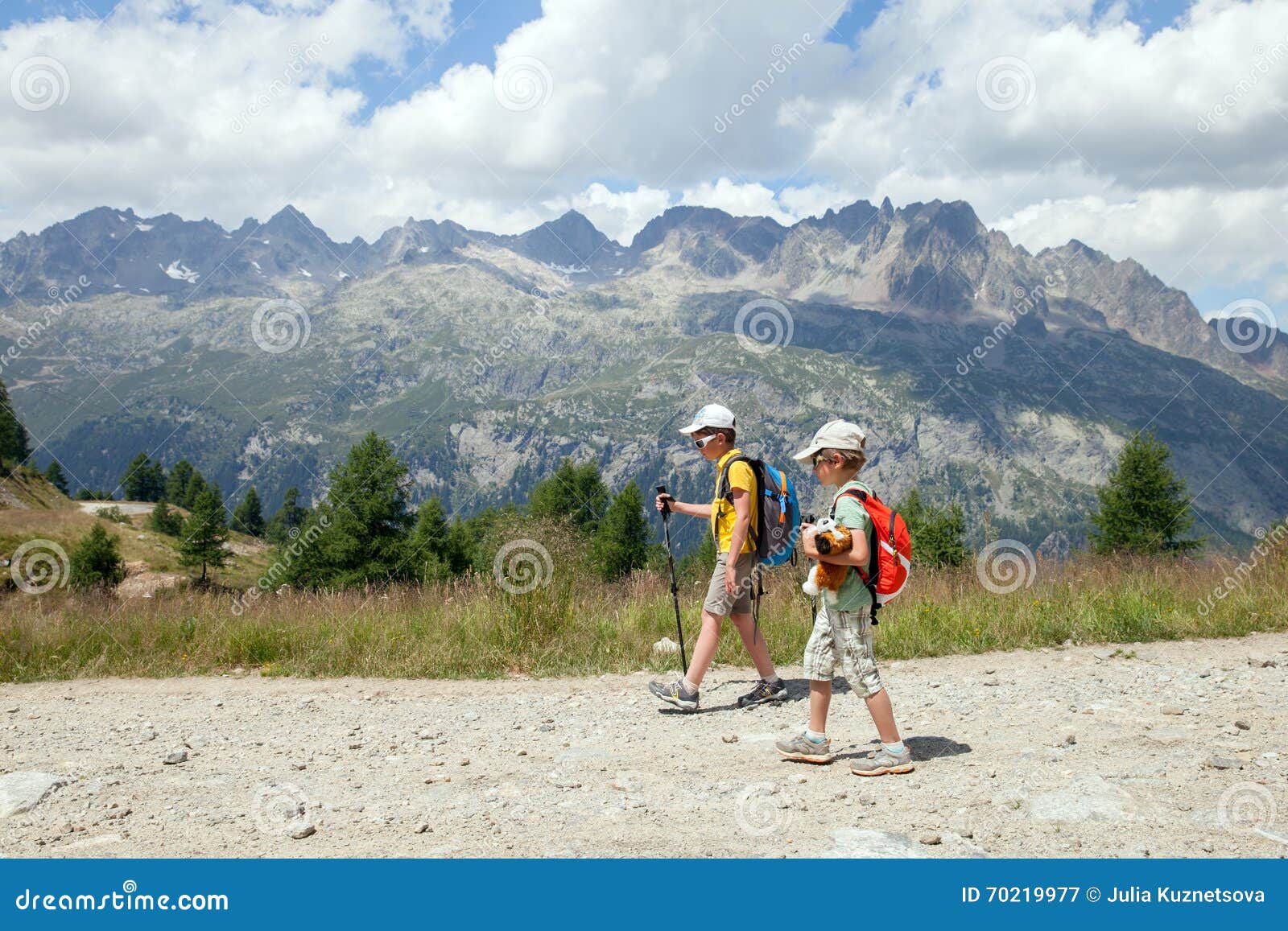 two bays walk on ground path in summer mountains
