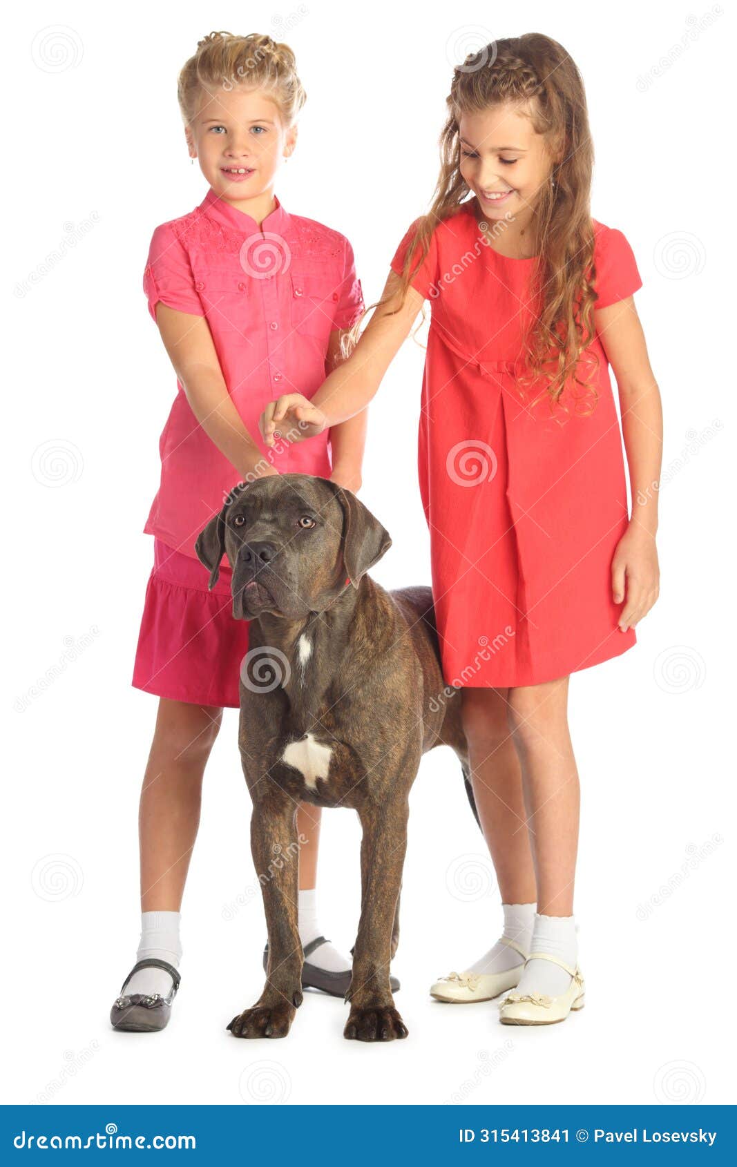 two beautiful girls joyfully stroking a big dogs