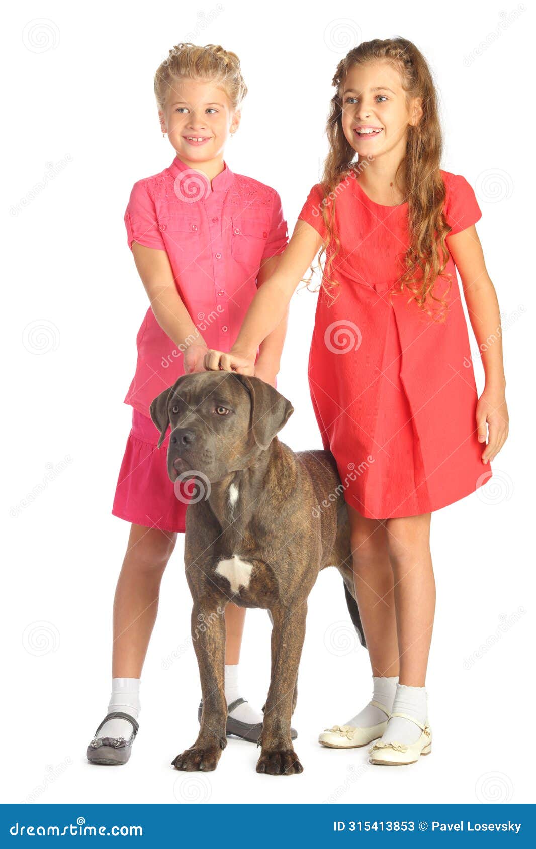 two beautiful girls joyfully stroking a big dogs