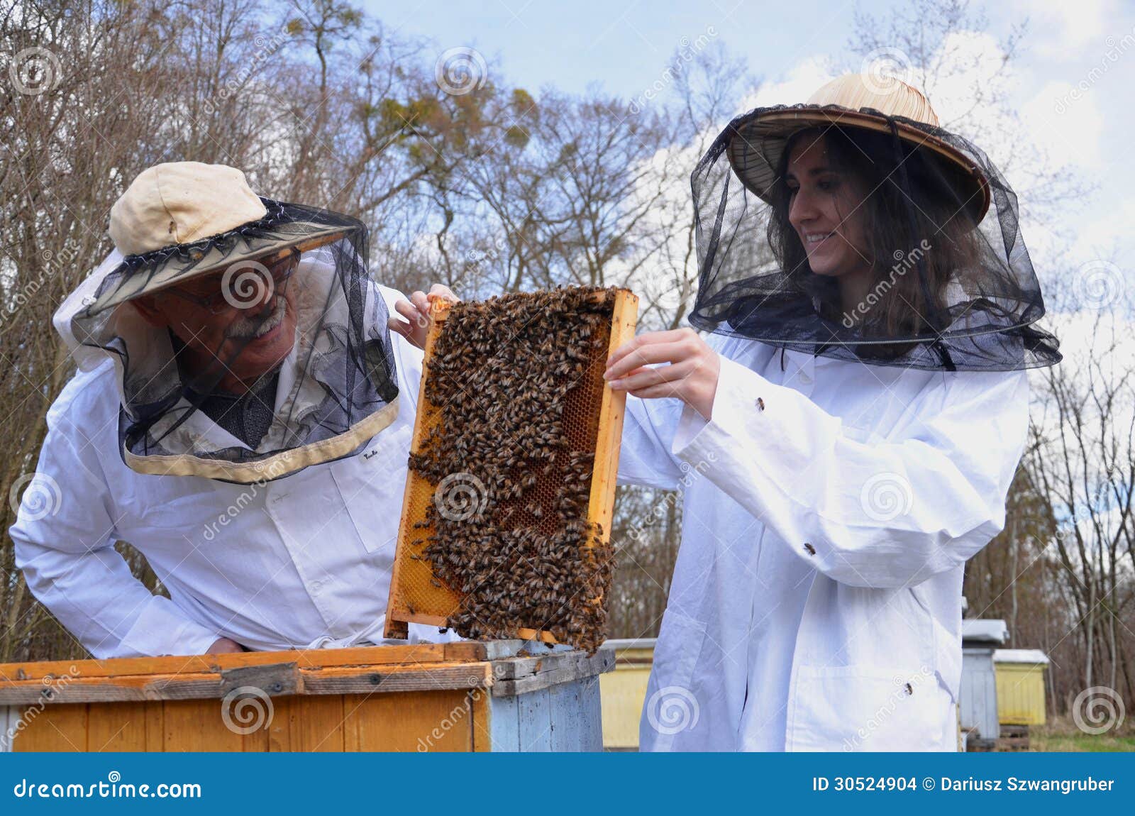 Two Beekeepers In Apiary Stock Images Image 30524904