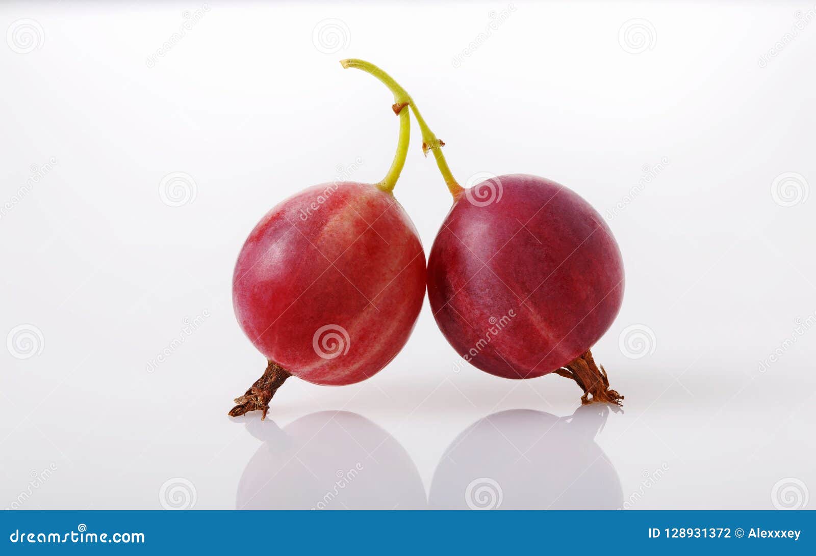 Two Berries of a Gooseberry on a Twig Isolated on White Background ...