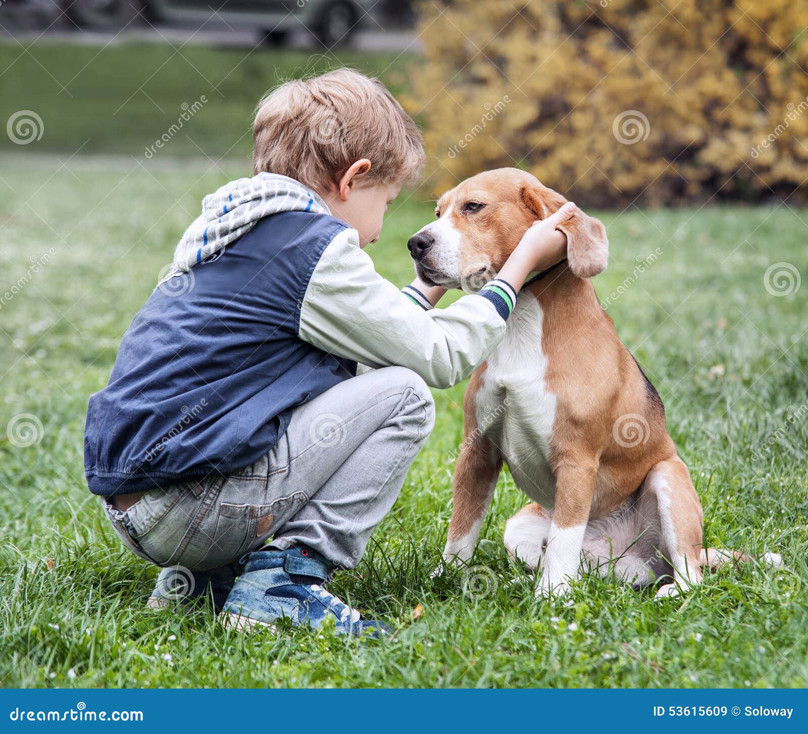 Two Best Friends Boy and His Dog Stock Image Image of animal, love 53615609