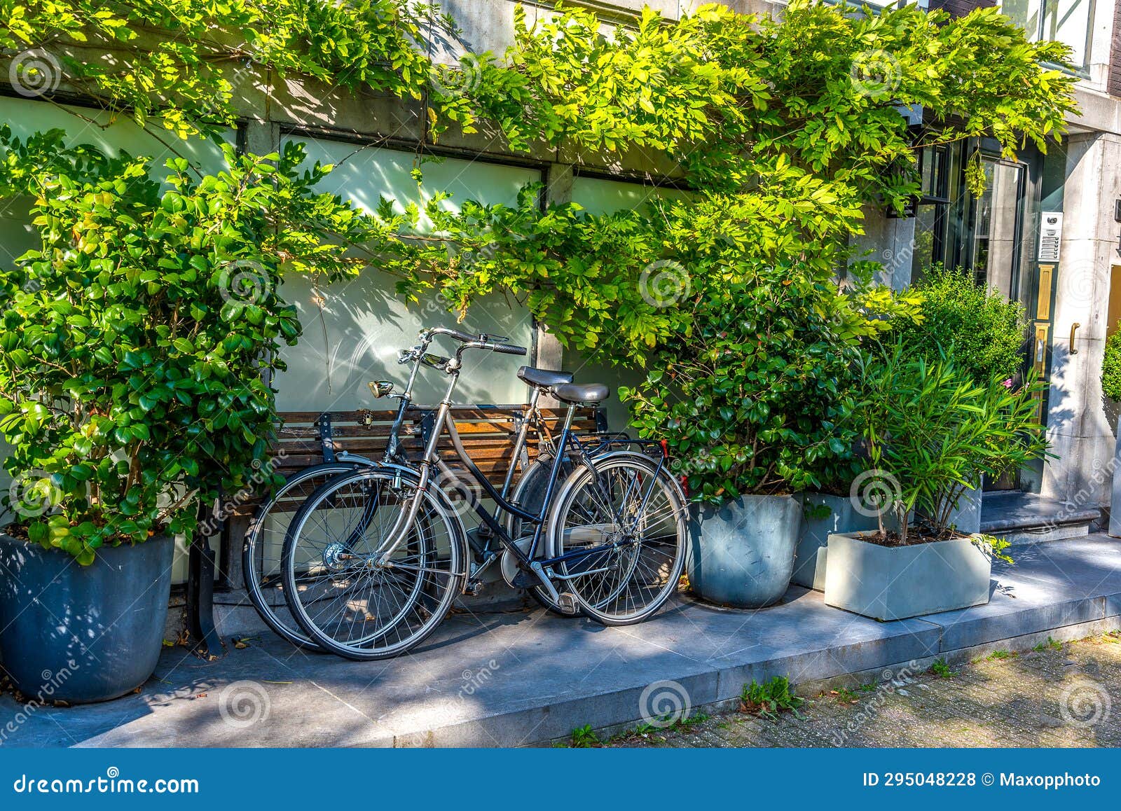 Two Bicycles Lean on Green Wall in Amsterdam Stock Photo Image of street, travel 295048228