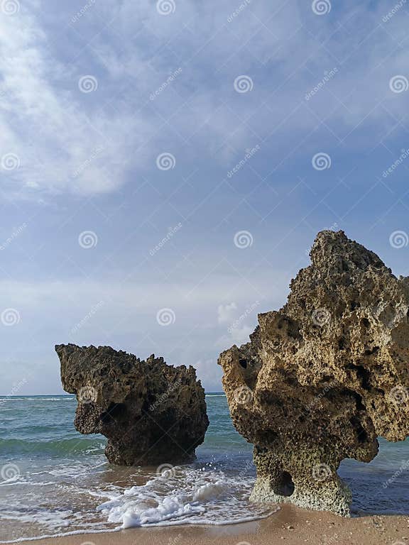 Two Big Coral Reefs in Telindale Beach Rote Ndao East Nusa Tenggara ...