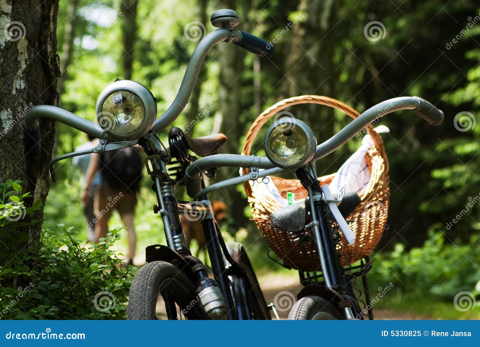 Two bikes in forest stock image. Image of side, daylight 5330825