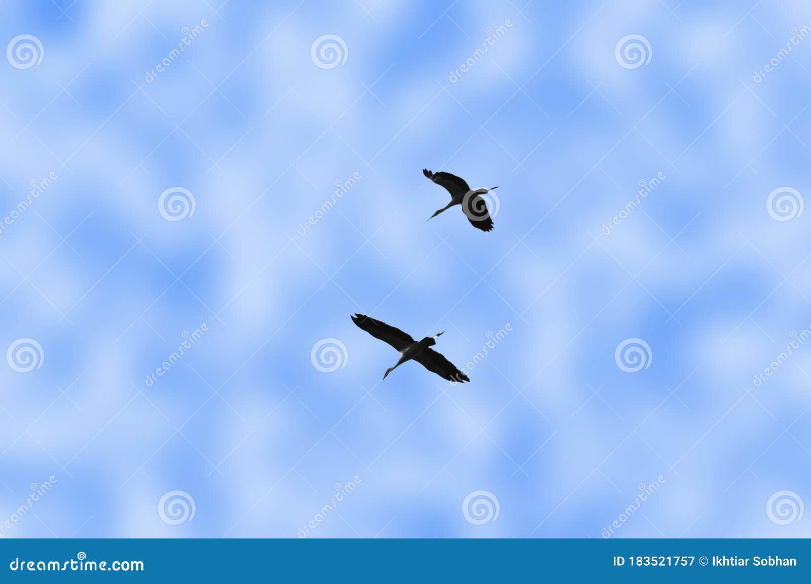 Two Birds Flying in Cloudy Blue Sky Stock Image - Image of concept