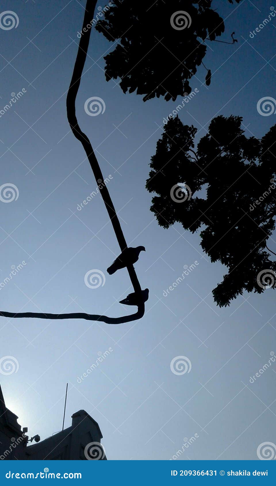 Two birds on a tree branch stock illustration. Illustration of font