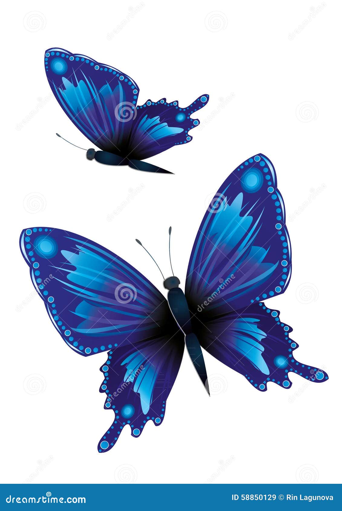 Two blue butterflies stock illustration. Illustration of flying 58850129