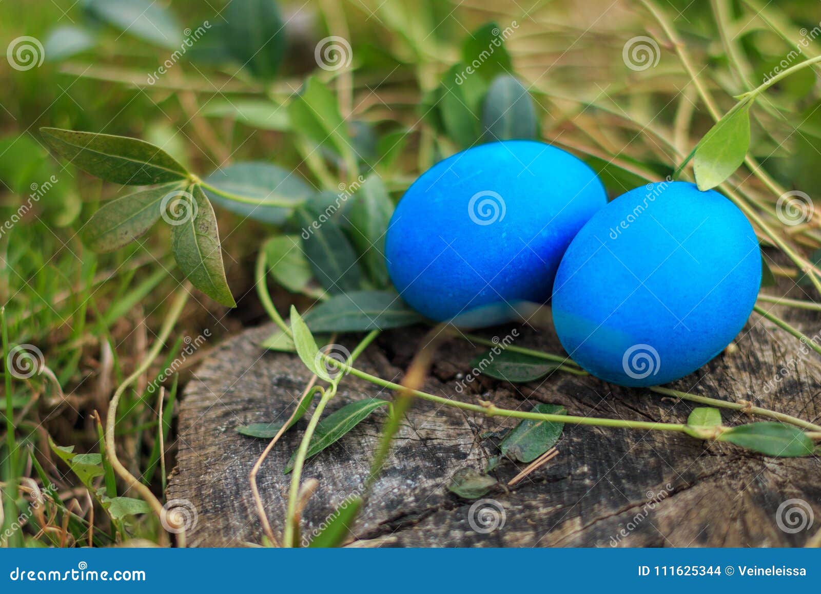 Two Blue Colored Traditional Easter Eggs in the Grass Stock Photo