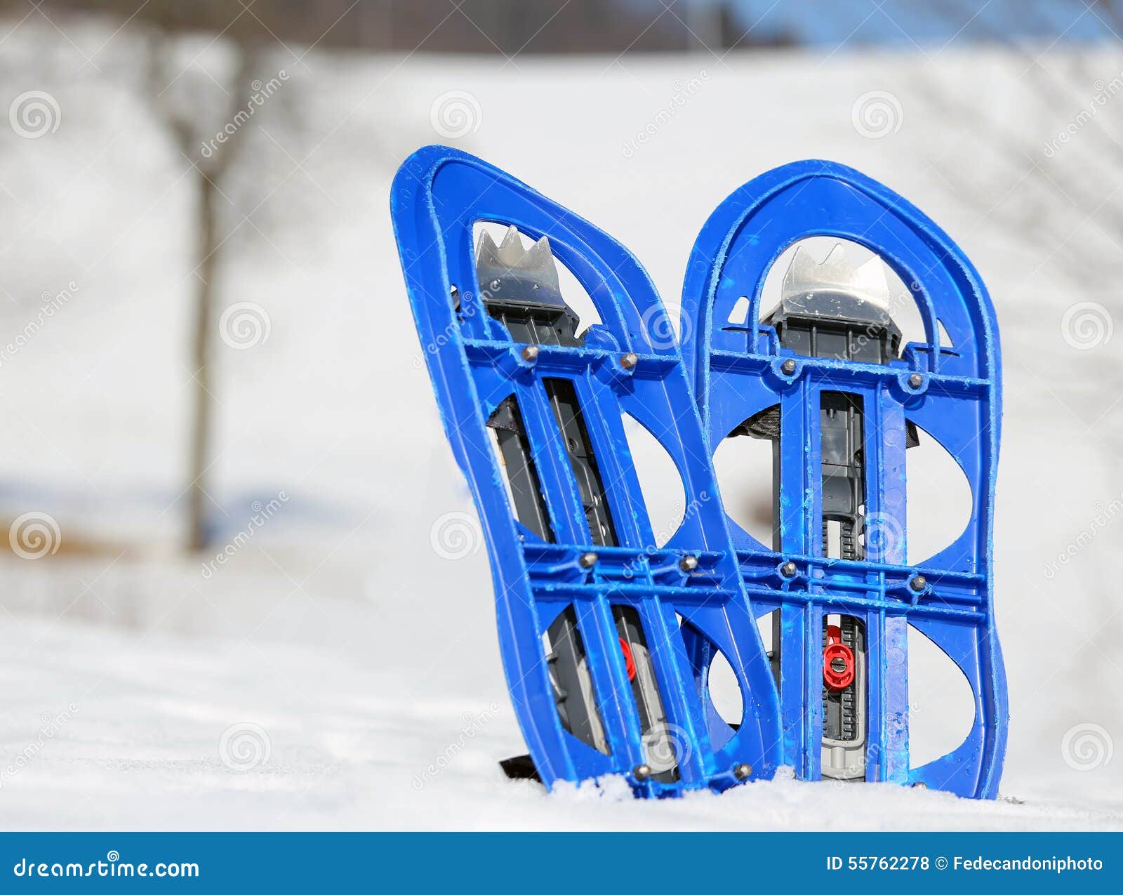 Two Blue Snowshoes in Mountains in Winter Stock Photo Image of alpine