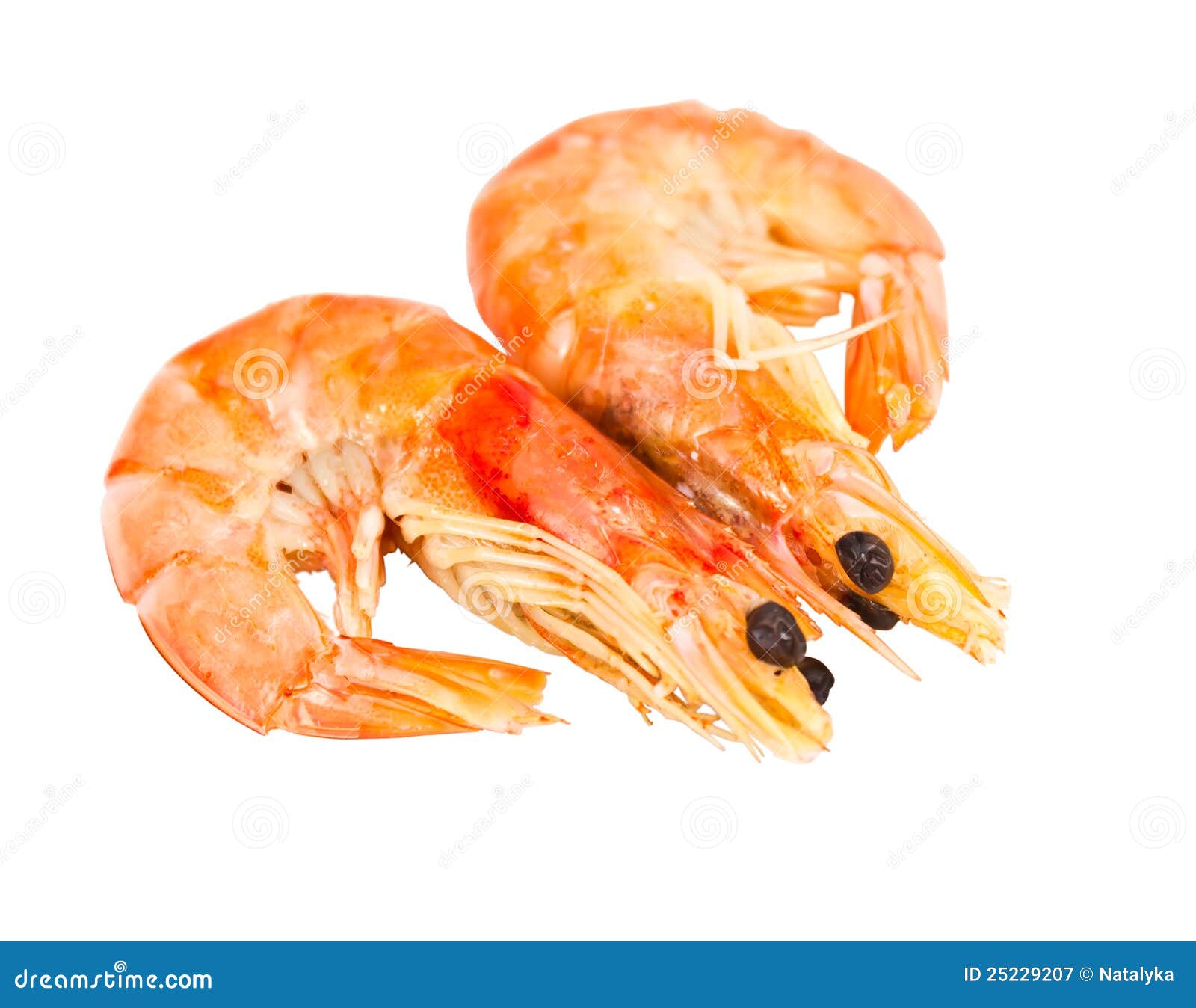 Two boiled shrimp stock image. Image of seafood, ingredient 25229207