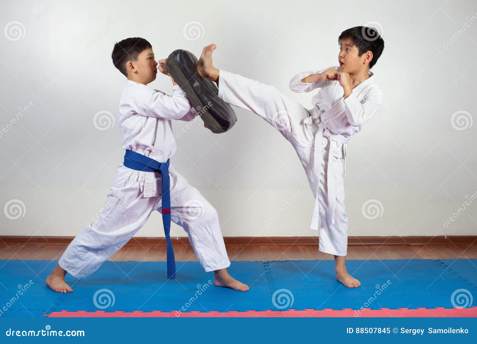 Two Boys Demonstrate Martial Arts Working Together Stock Image Image