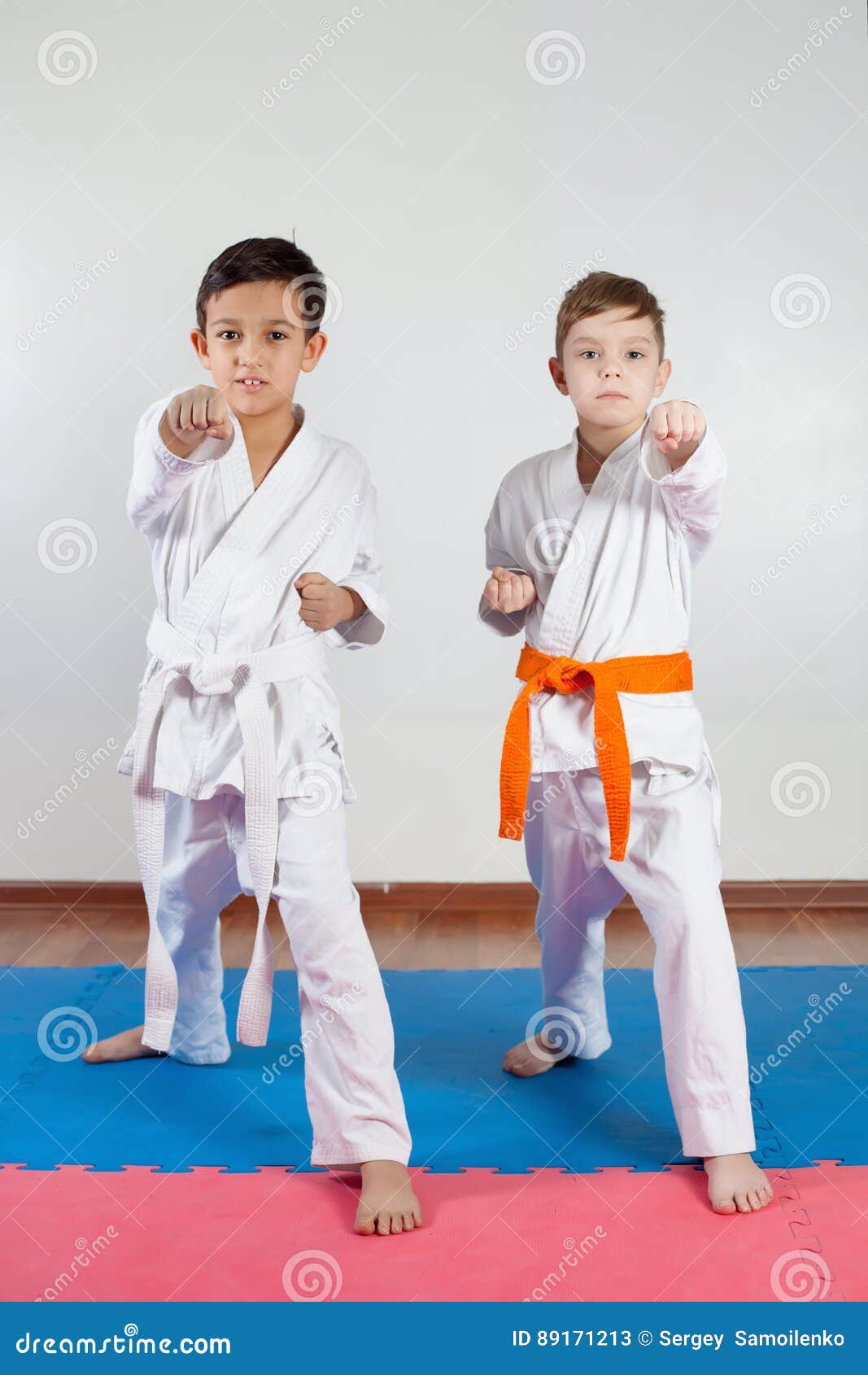 Two Boys Demonstrate Martial Arts Working Together Stock Image Image