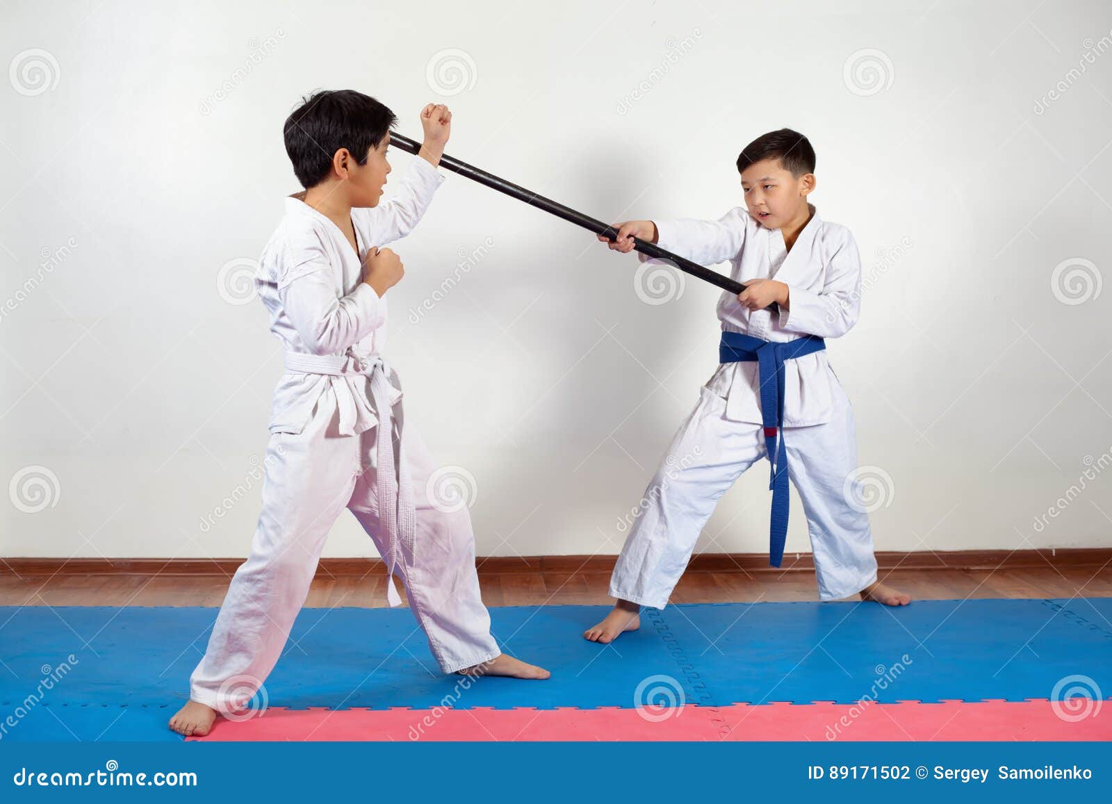 Two Boys Demonstrate Martial Arts Working Together Stock Photo Image