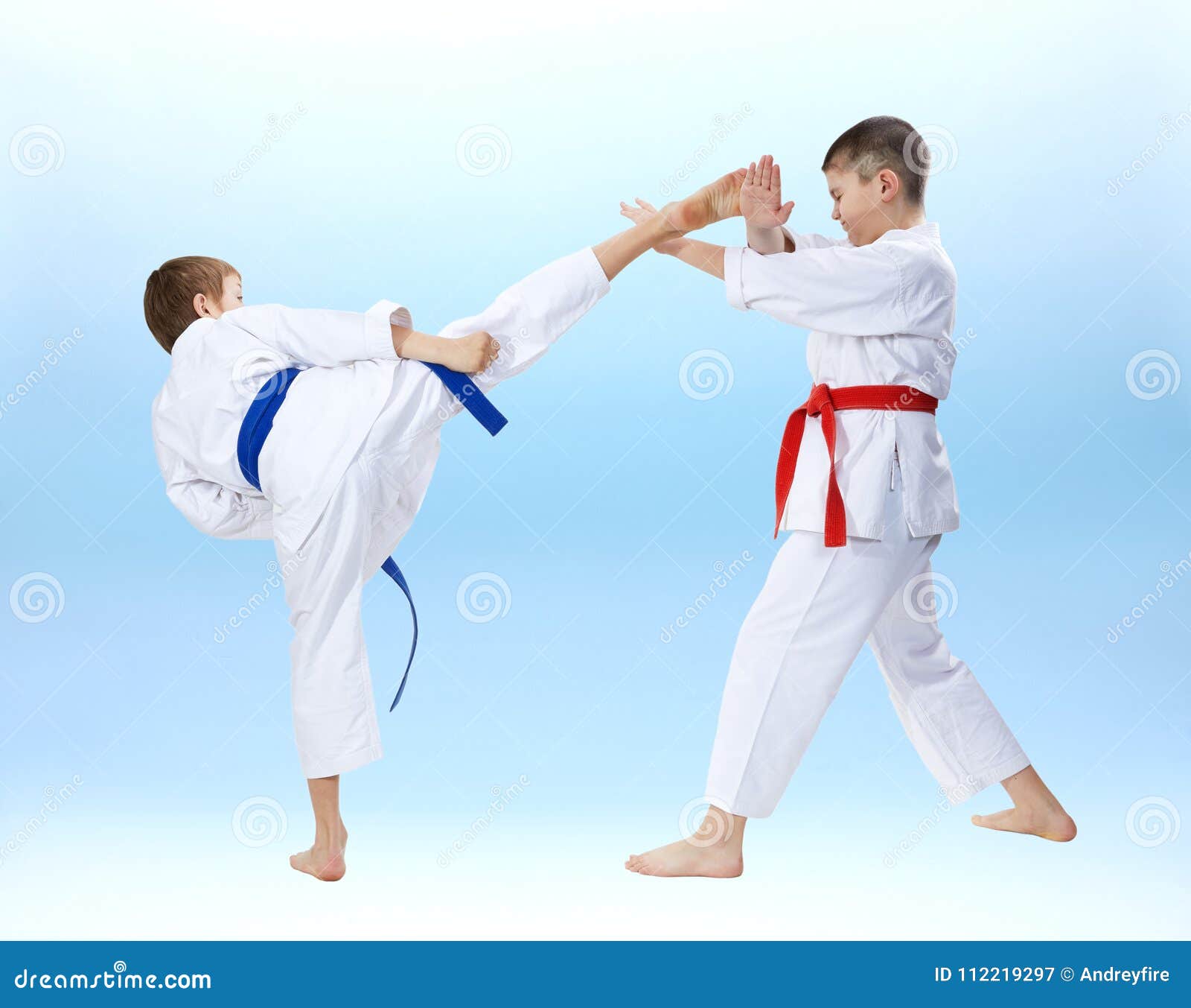 Two Boys are Trained Punches and Blocks Karate Stock Image Image of