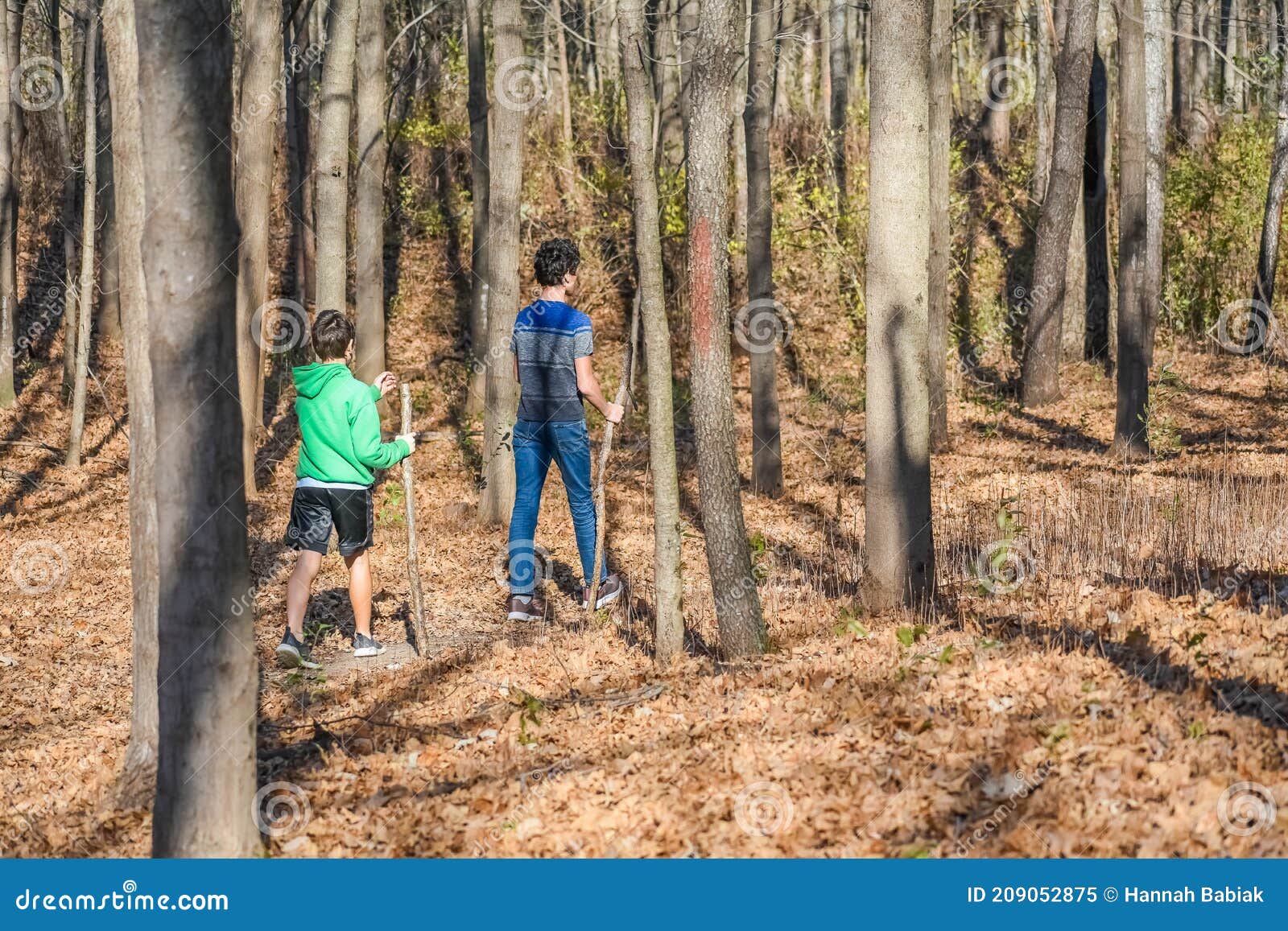two boys with walking sticks walking through forest