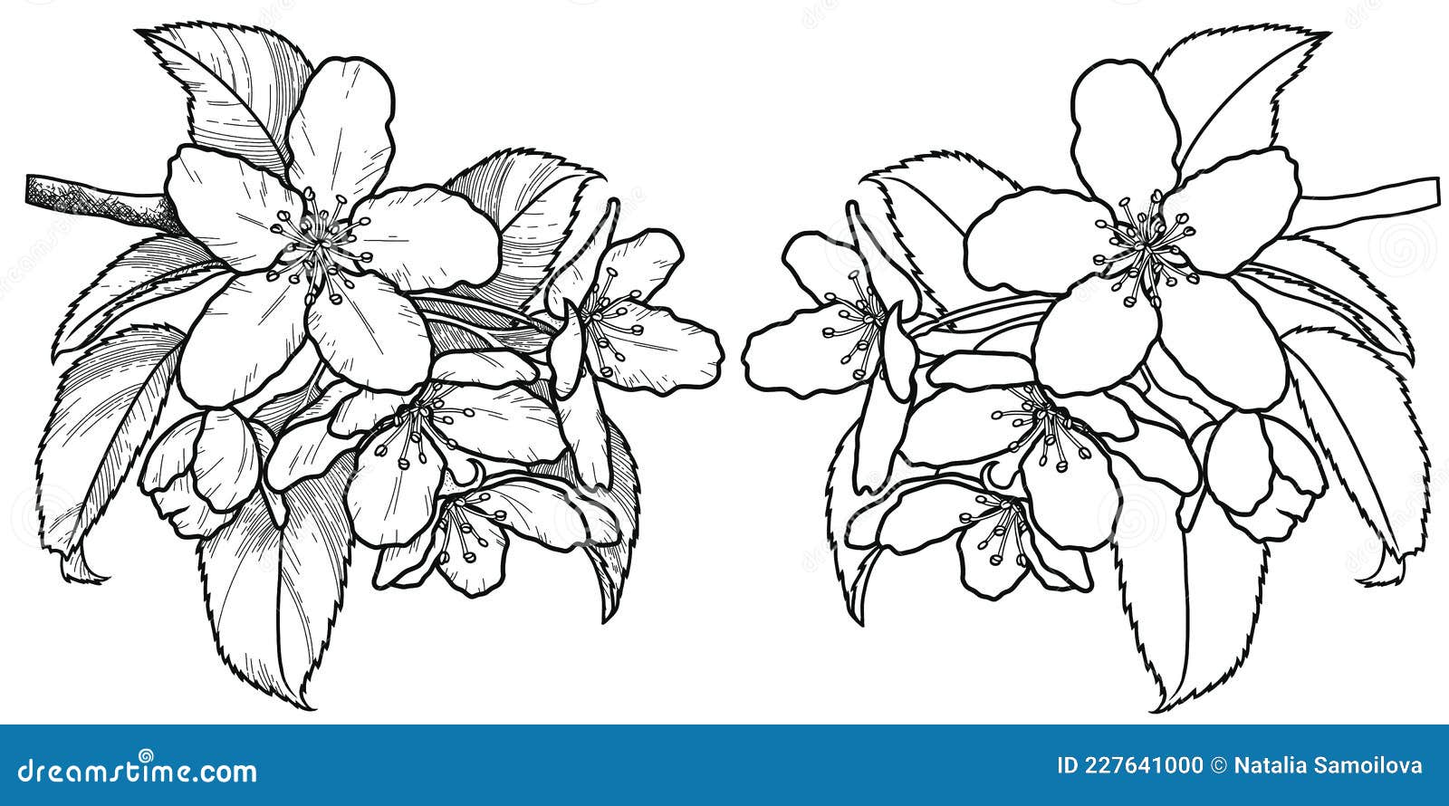 25 Dogwood Flower Tattoo Designes For Girls