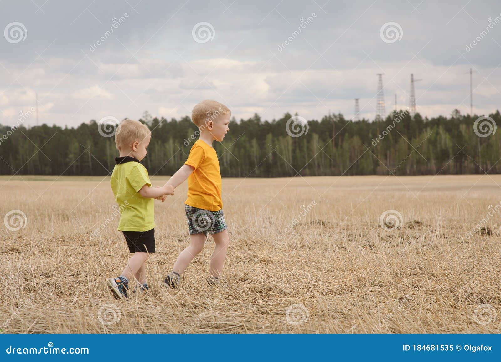 Two Brothers Walk in a Mown Field Stock Image - Image of playing ...