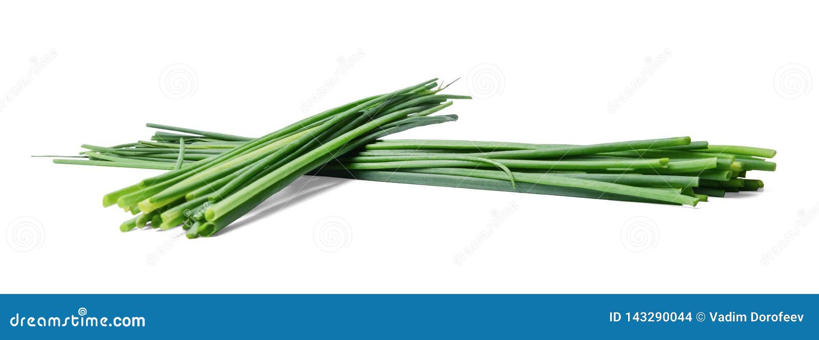 Two Bunches of Fresh Chive Onions on a White Isolated Background. Stock