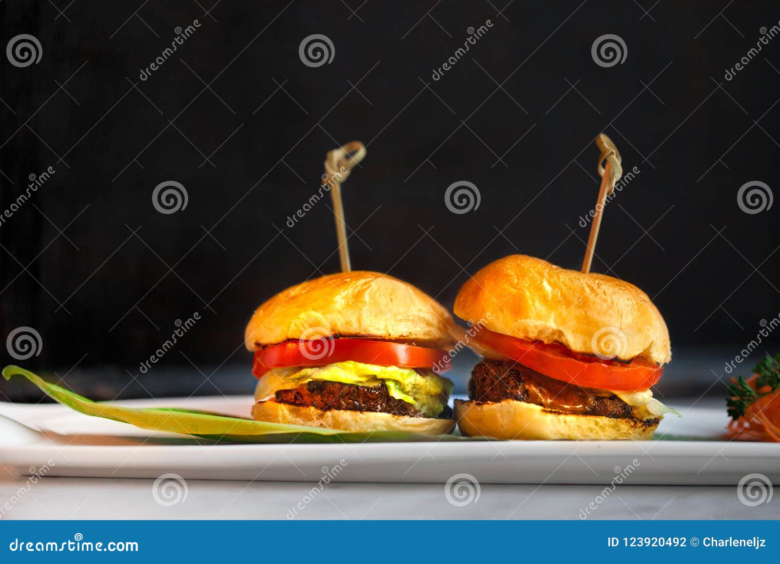 1 109 Burgers Shot Photos Free Royalty Free Stock Photos From Dreamstime 1 109 Burgers Shot Photos Free Royalty Free Stock Photos From Dreamstime