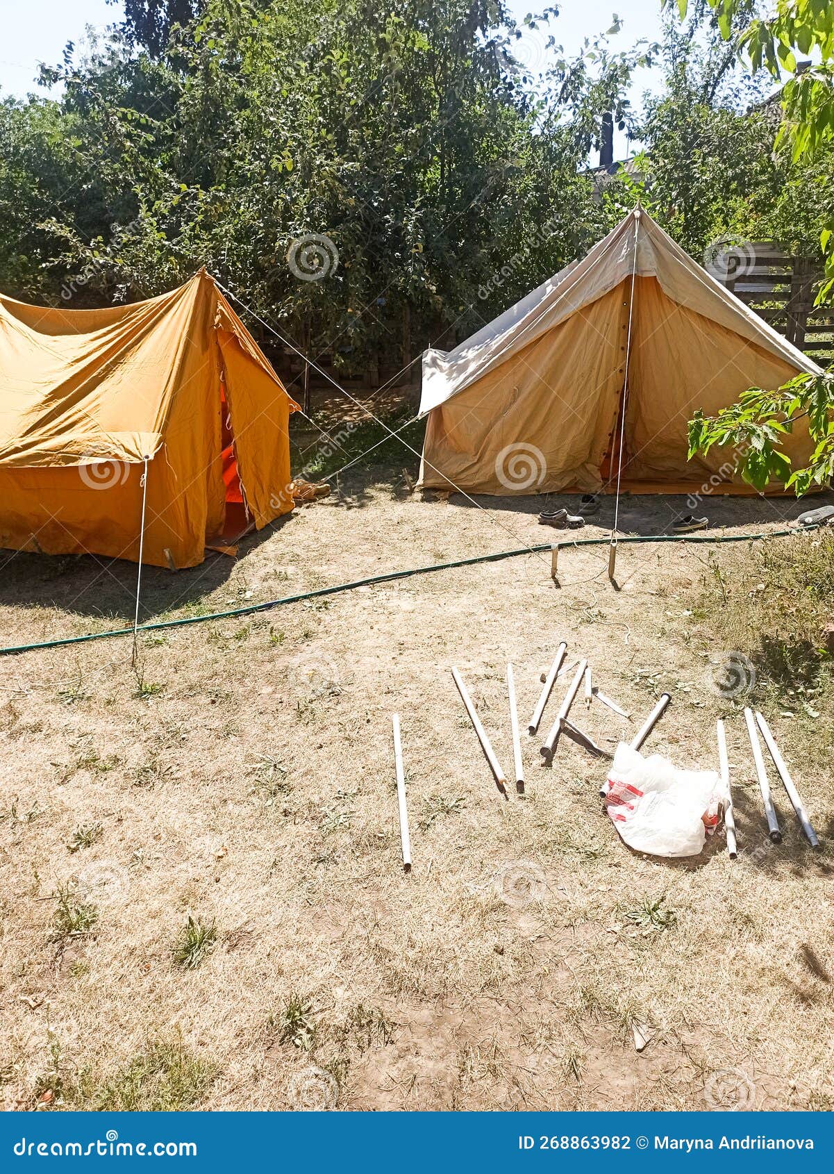 Two Camping Tents and Camping Gear in Spring Green Forest Stock Photo