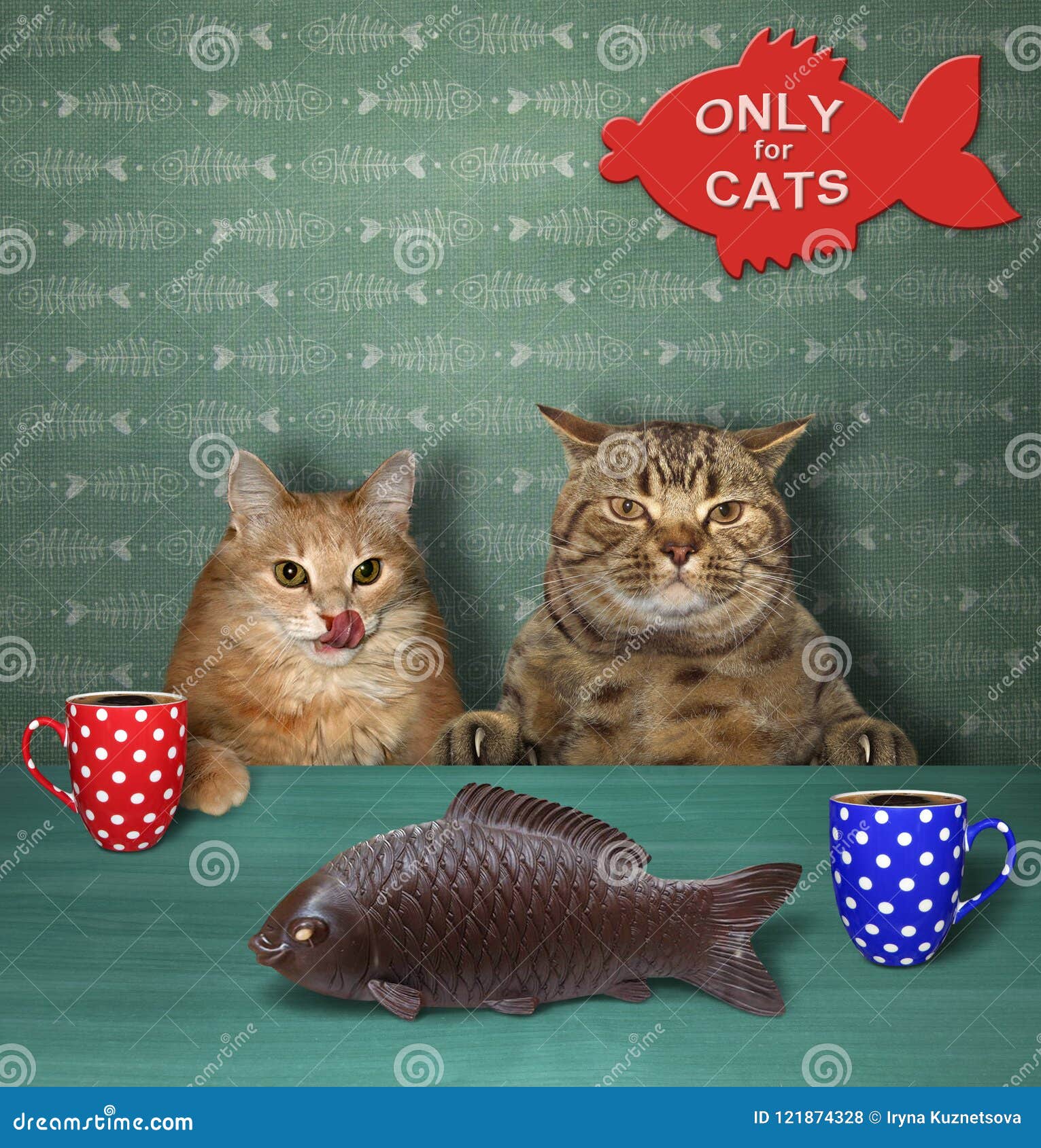 cats on coffee tables