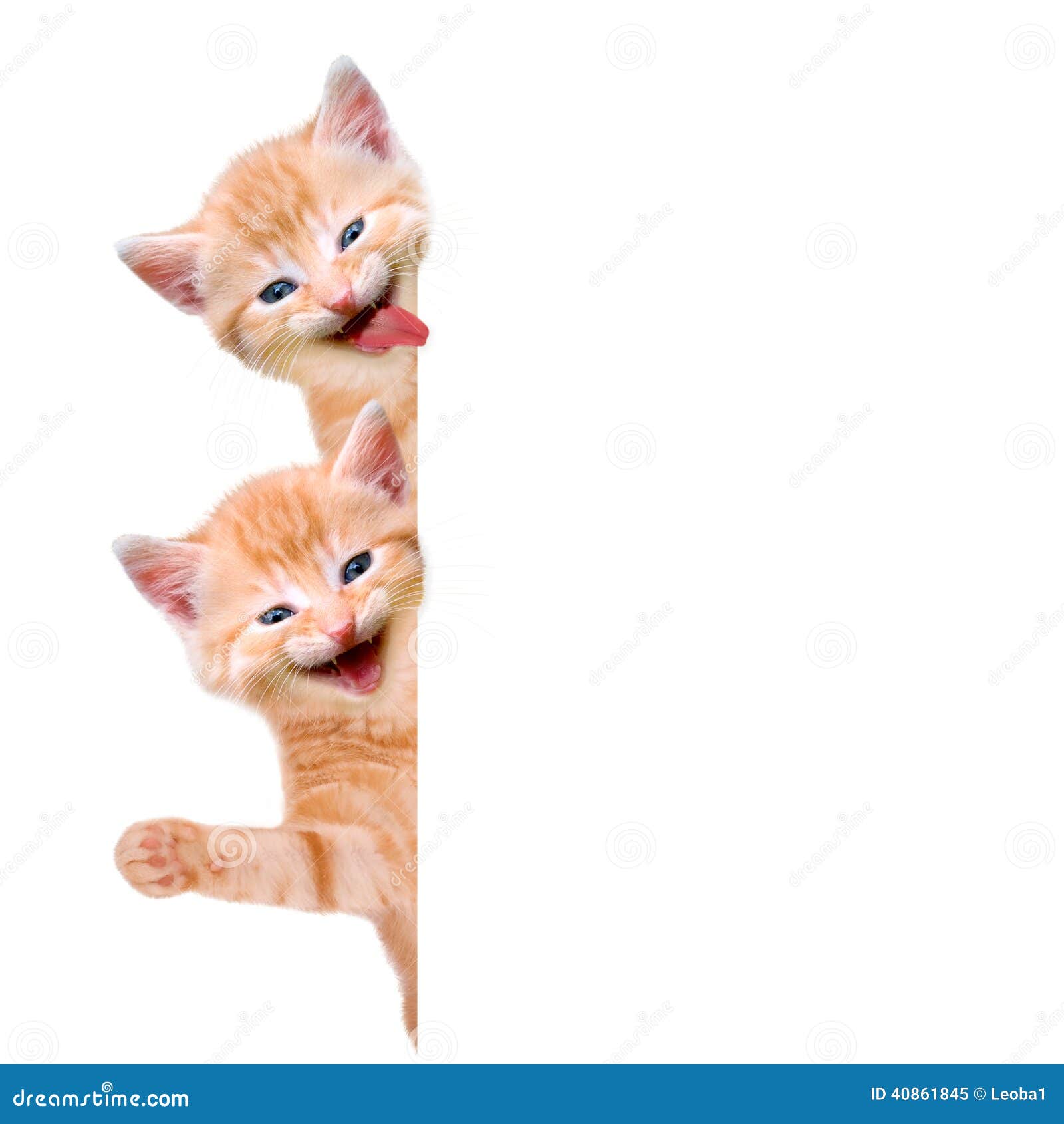 Two cats Stock Vector Images - Alamy