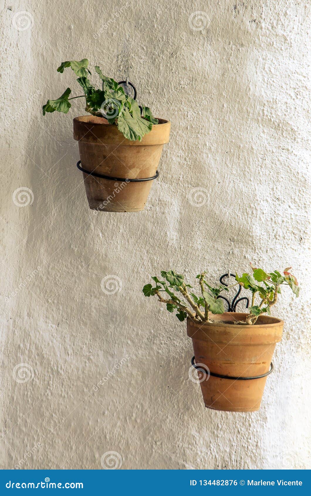 Two Ceramic Flower Pots Hanging from a White Wall Stock Photo Image