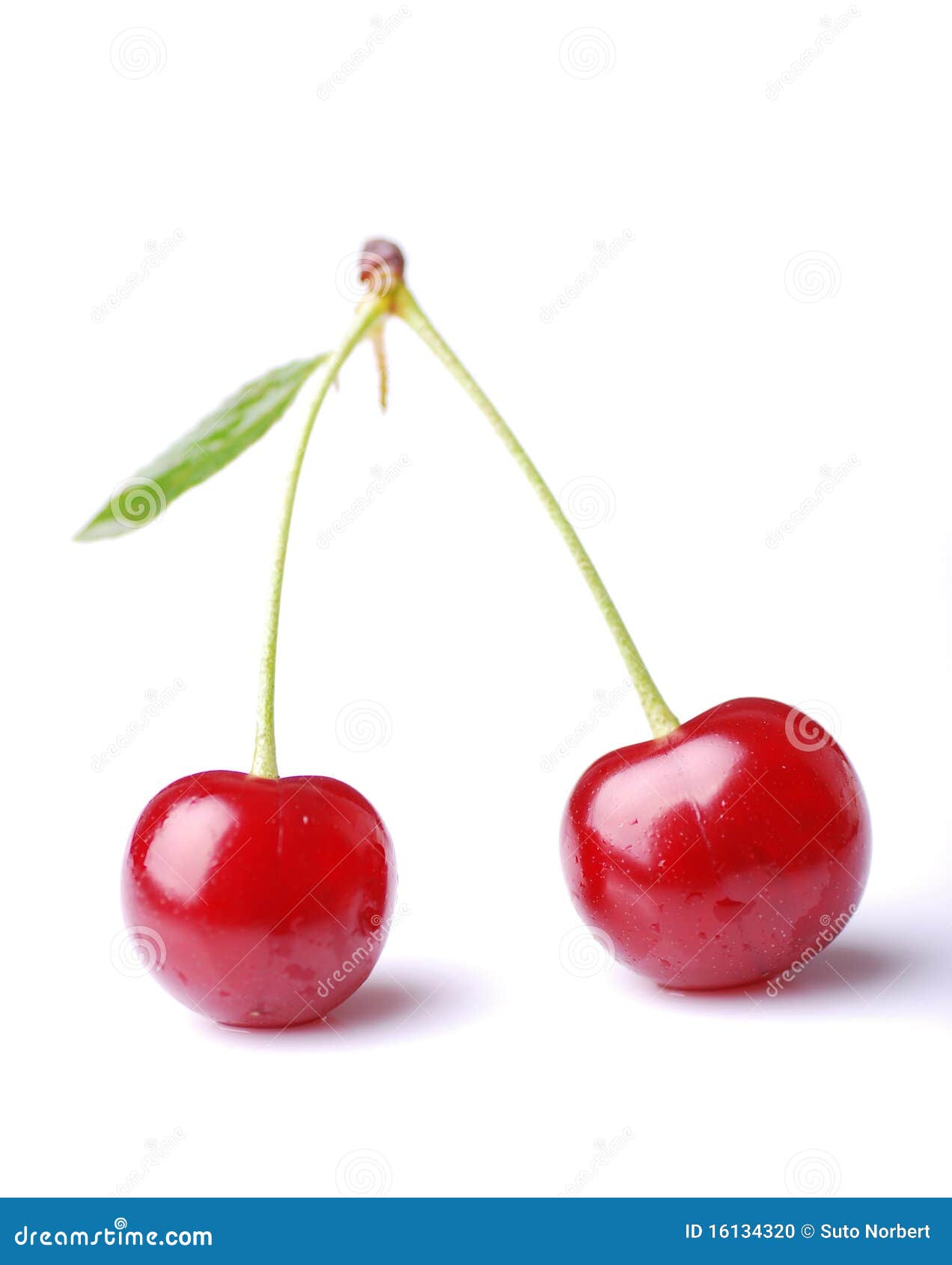 Two cherries stock photo. Image of detail, exotic, form - 16134320