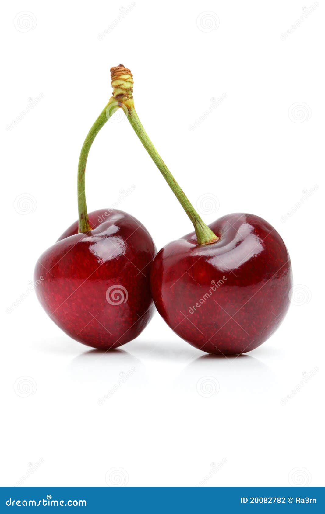 Two cherries stock photo. Image of berry, color, cherry - 20082782