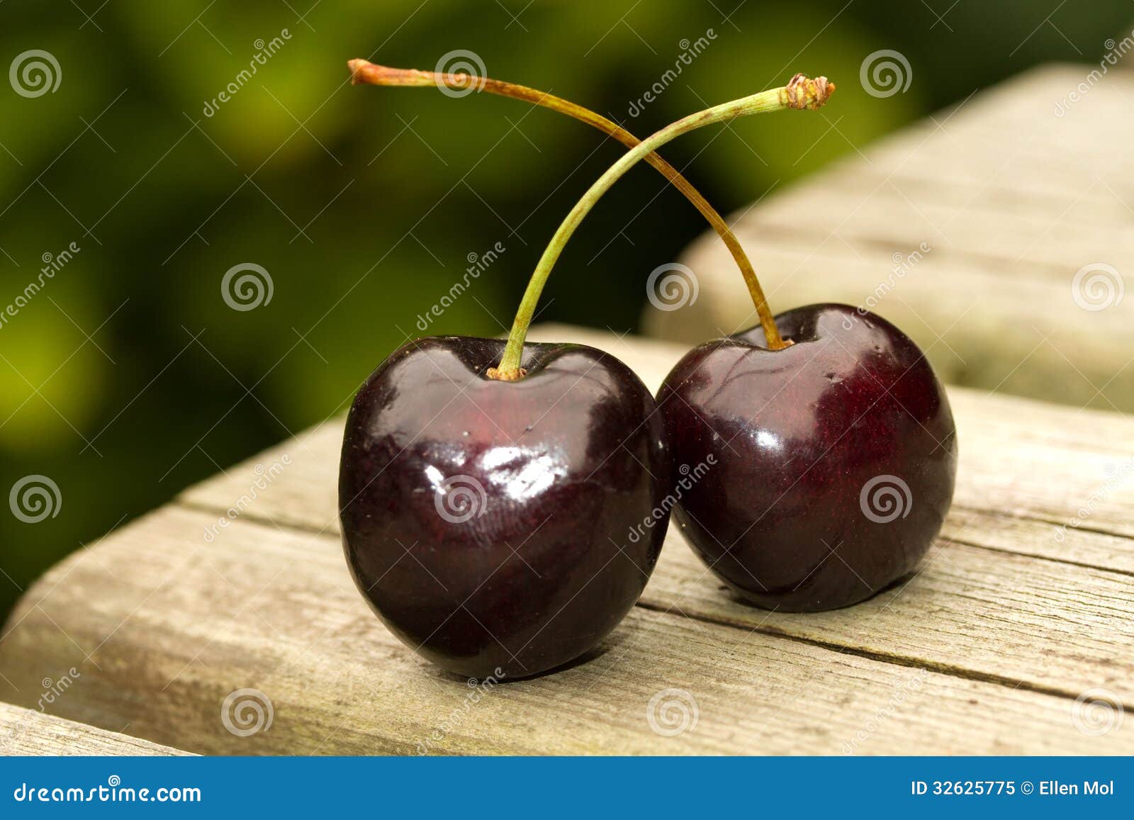 Two cherries stock image. Image of vitamin, diet, summer - 32625775