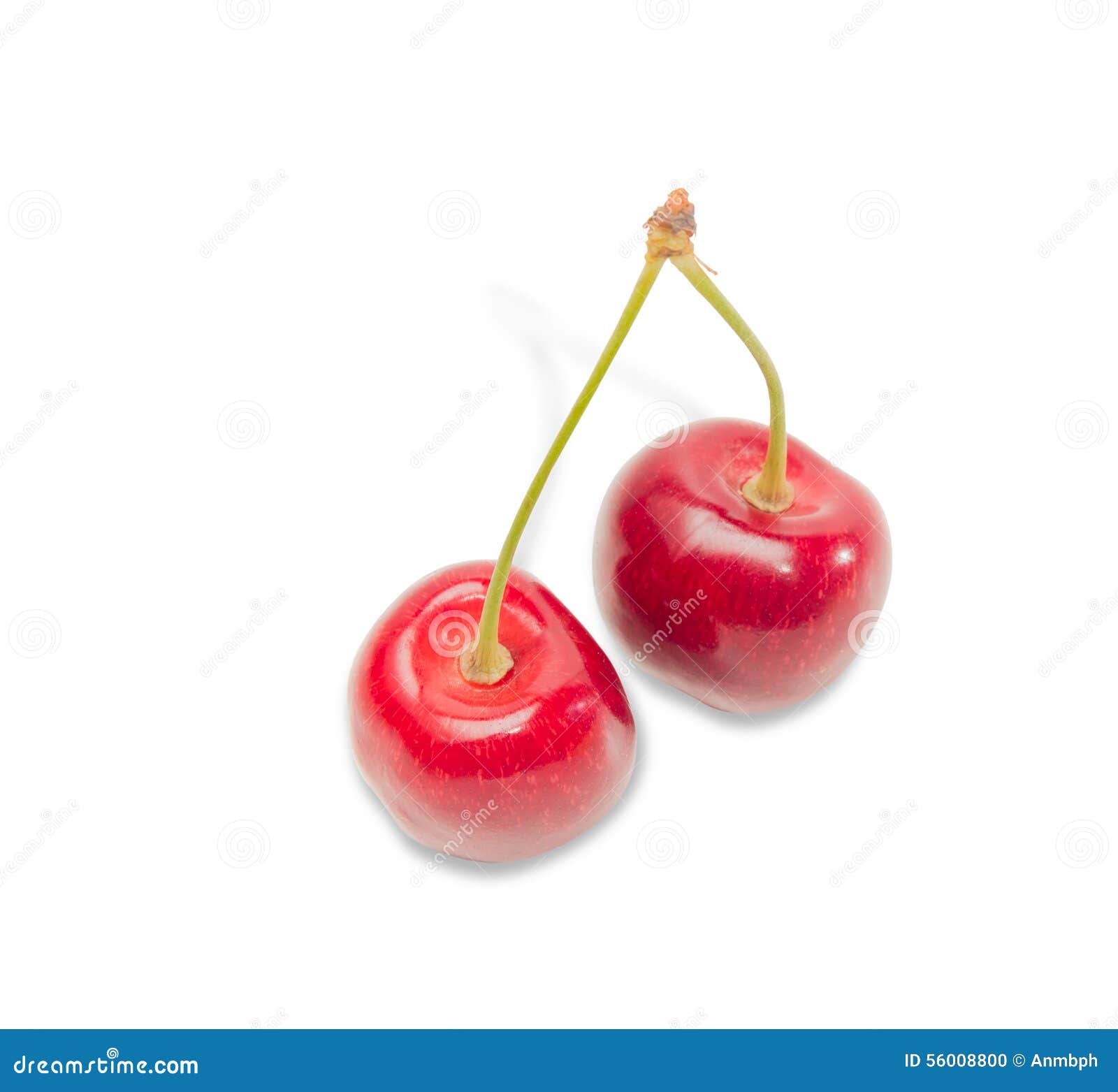 Two cherries stock photo. Image of background, fresh - 56008800