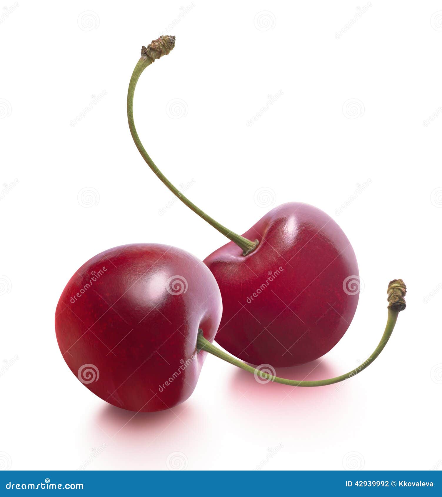 Two Cherries Separate Isolated on White Background Stock Photo - Image ...