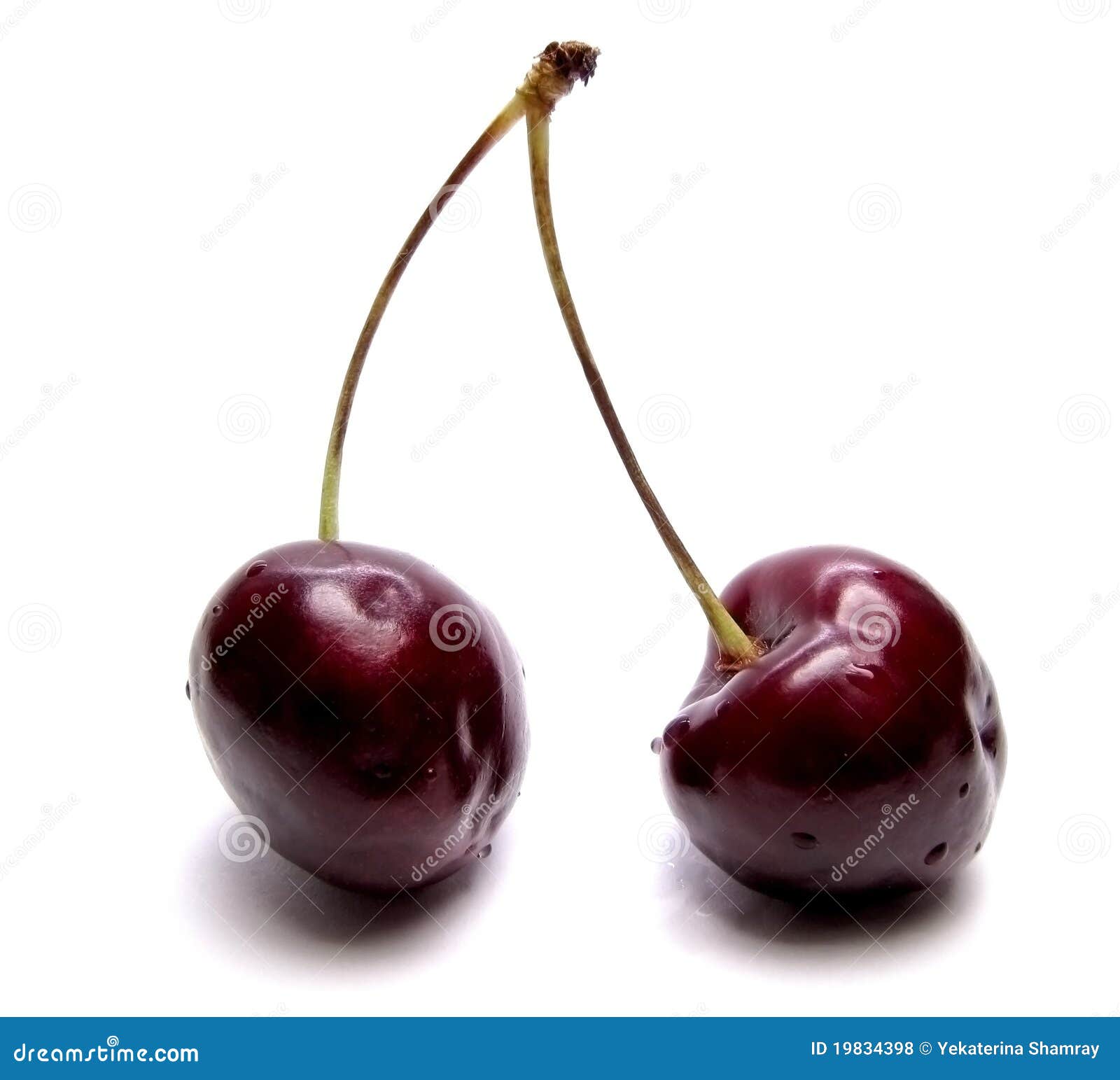 Two Cherries - a Sweet Kiss Stock Photo - Image of food, cherries: 19834398