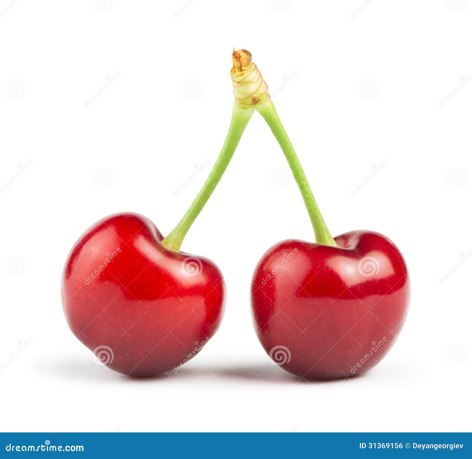 Two Cherries white stock photo. Image of leaf, group - 31369156