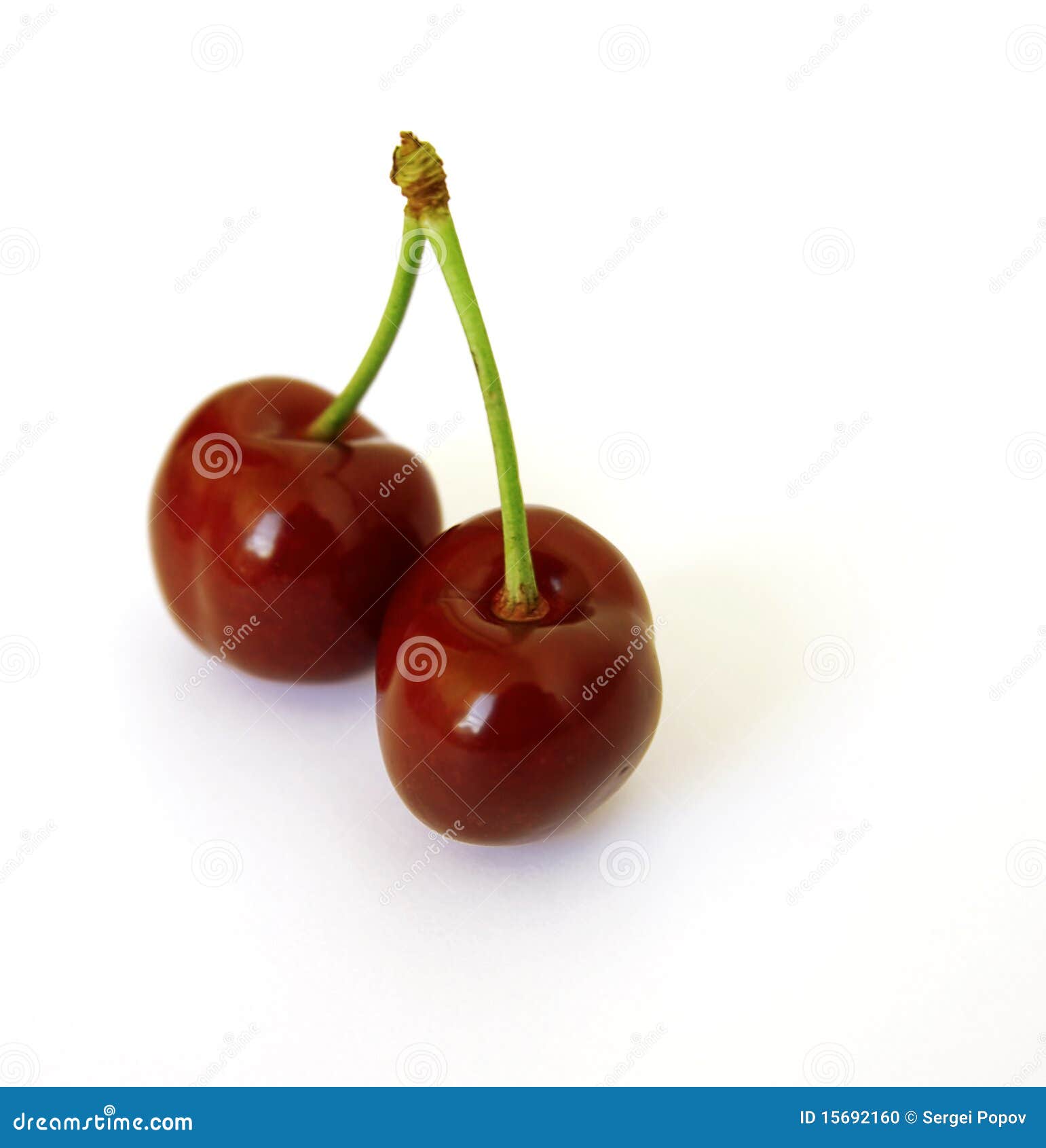 Two cherry stock photo. Image of clean, isolated, cherry - 15692160