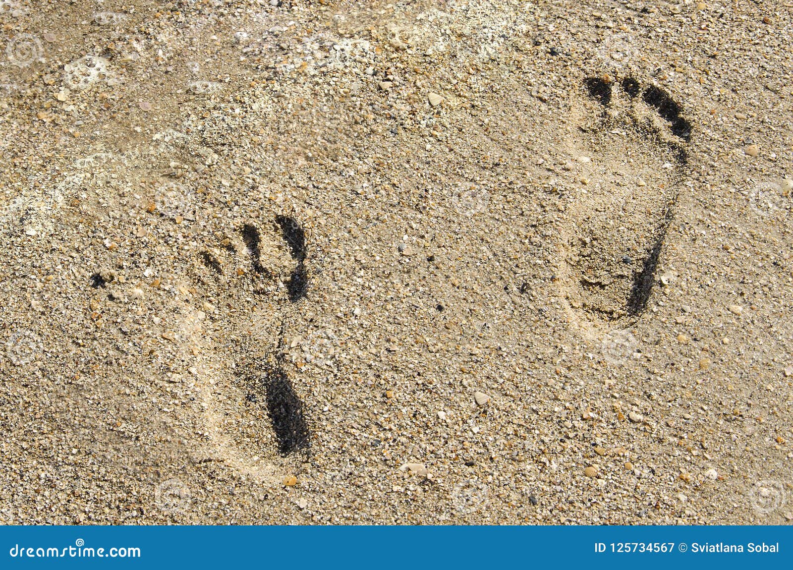 Children Footprints In The Sand. Human Footprints Leading Away From The ...