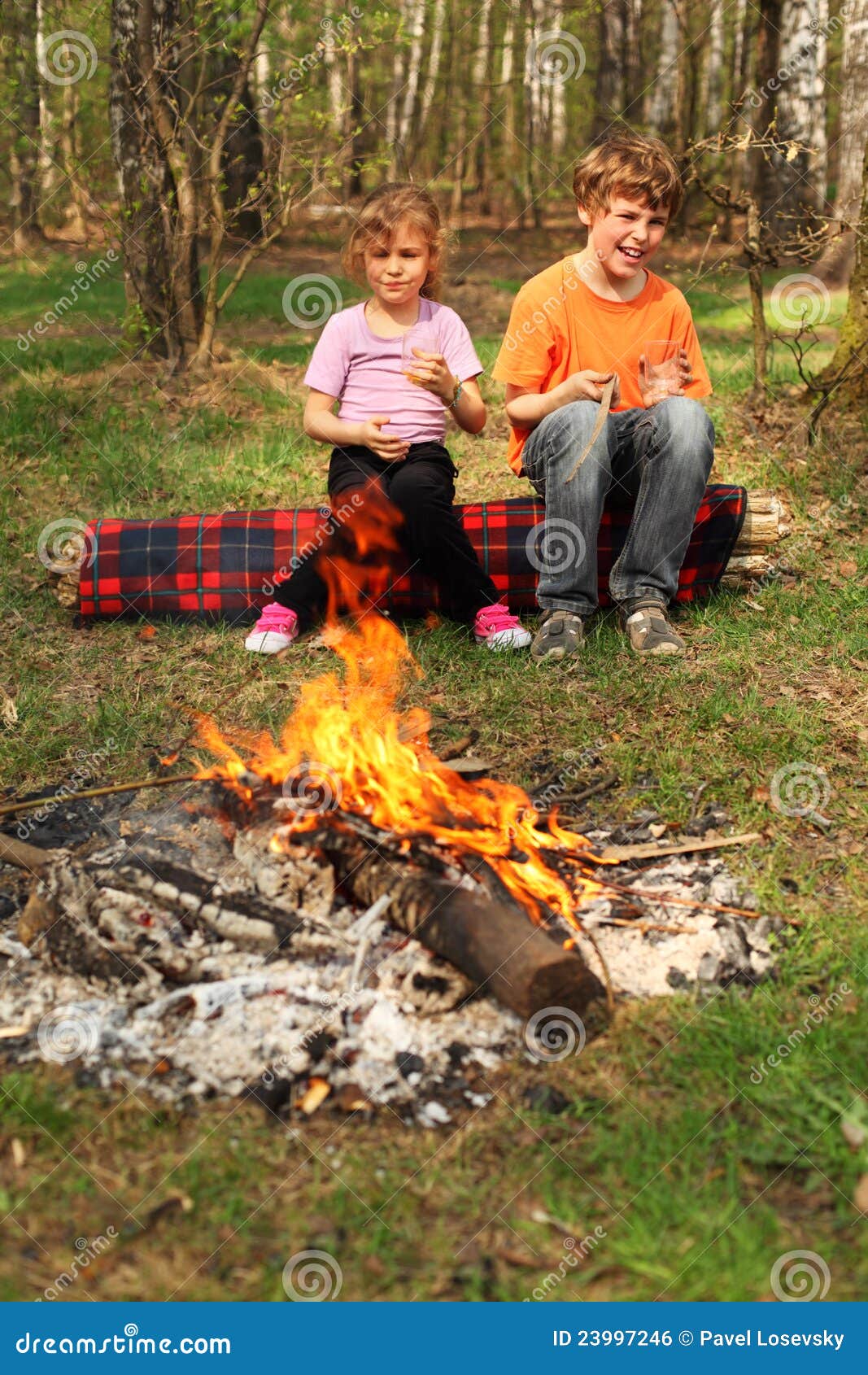 Two Children Sit Near Campfire Stock Photo Image of nature, daughter