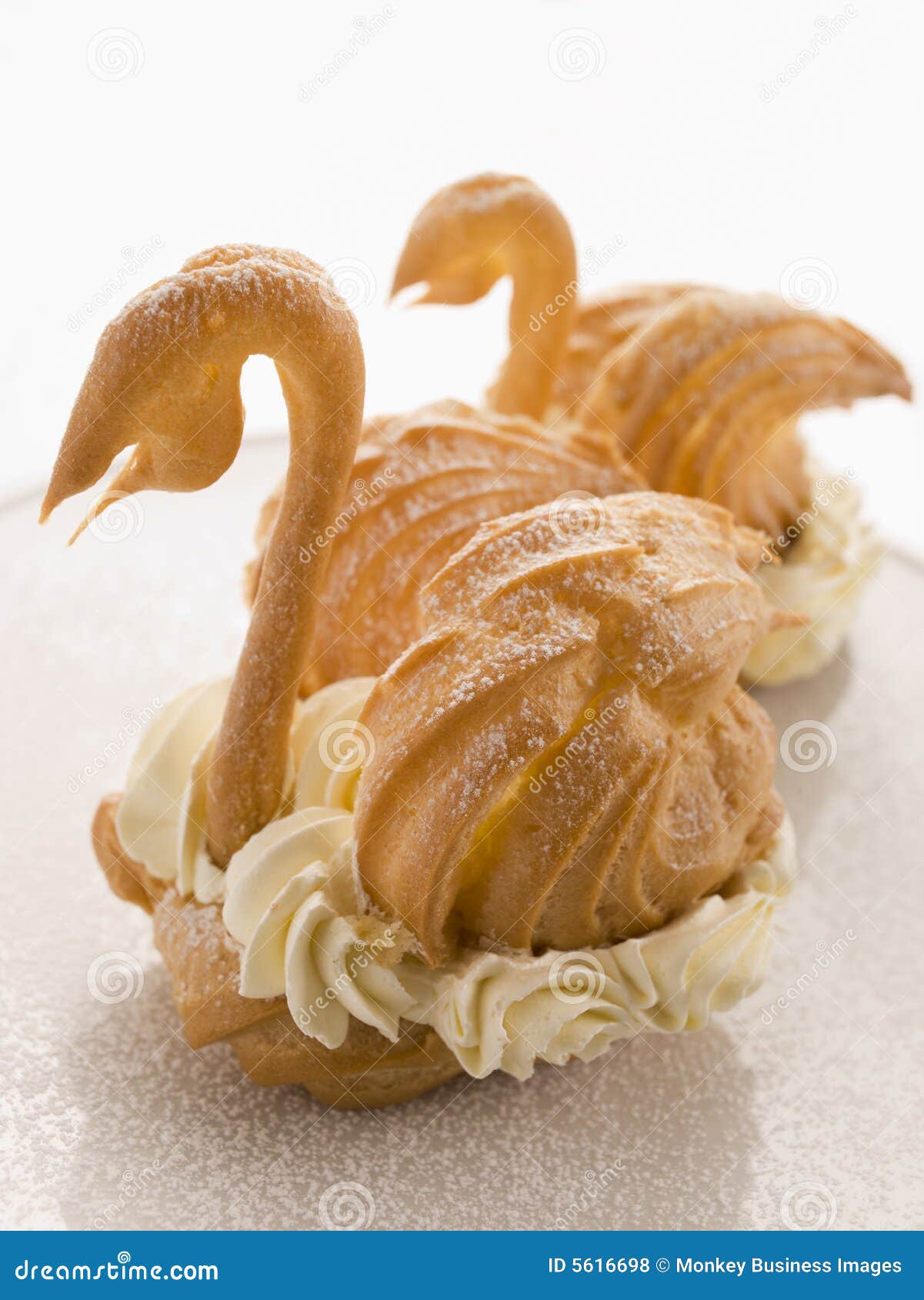 two choux swans filled with chantilly cream