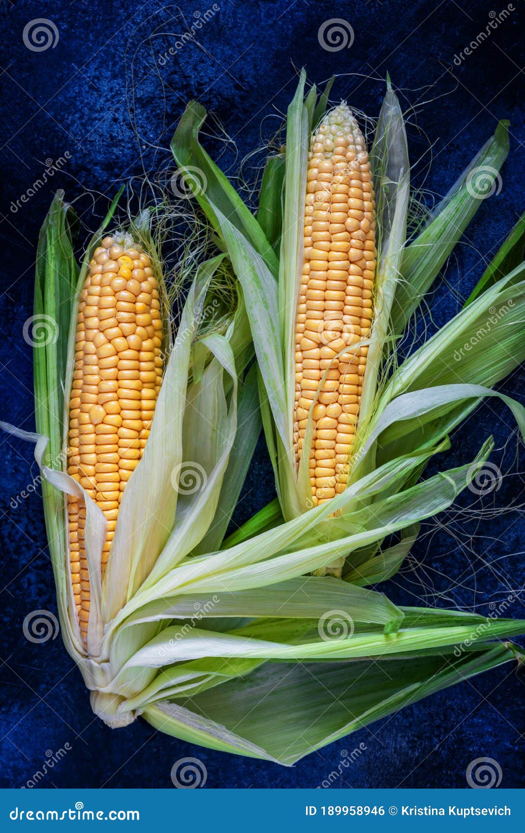 Two Cobs Of Young Yellow Corn With Beautifully Spread Leaves On A Dark 