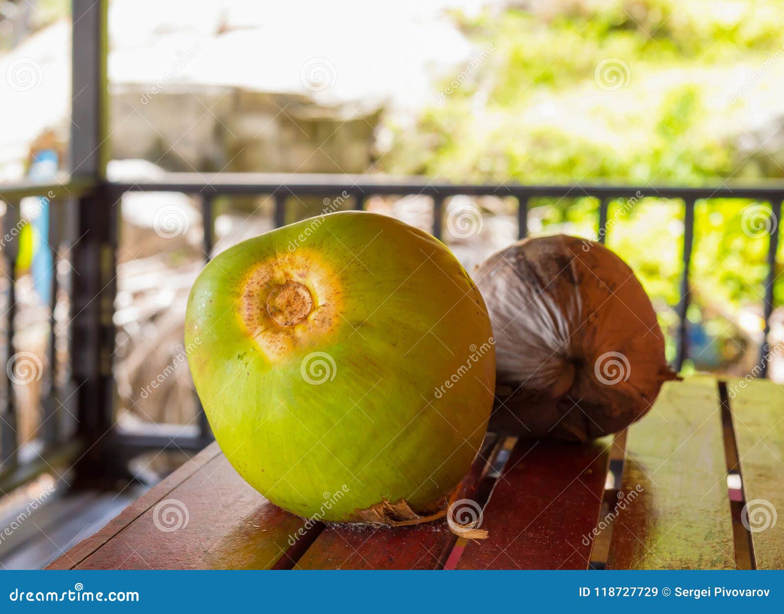 Two Coconuts Green Brown Nut Fruit on the Veranda Bungalow Table Sunny ...