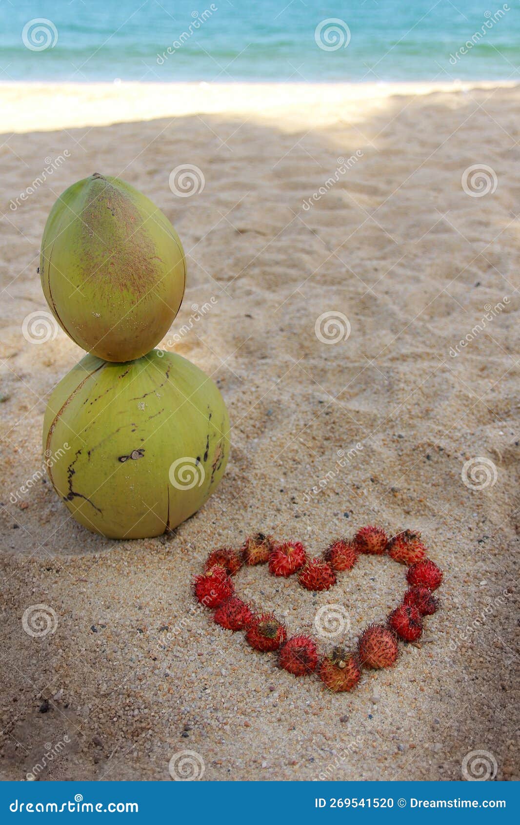 Two Coconuts and a Red Heart are Standing on the Sand Stock Photo Image of petal, standing