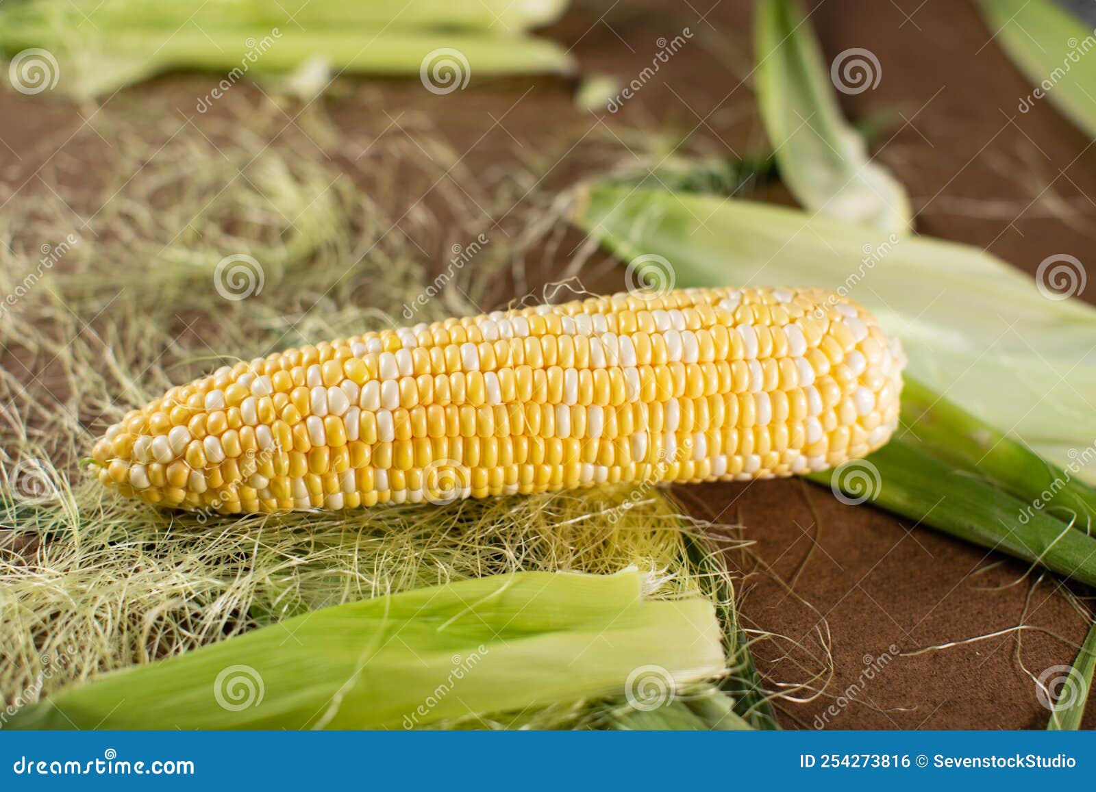 Two Colour Organic Corn on Table Stock Photo Image of organic