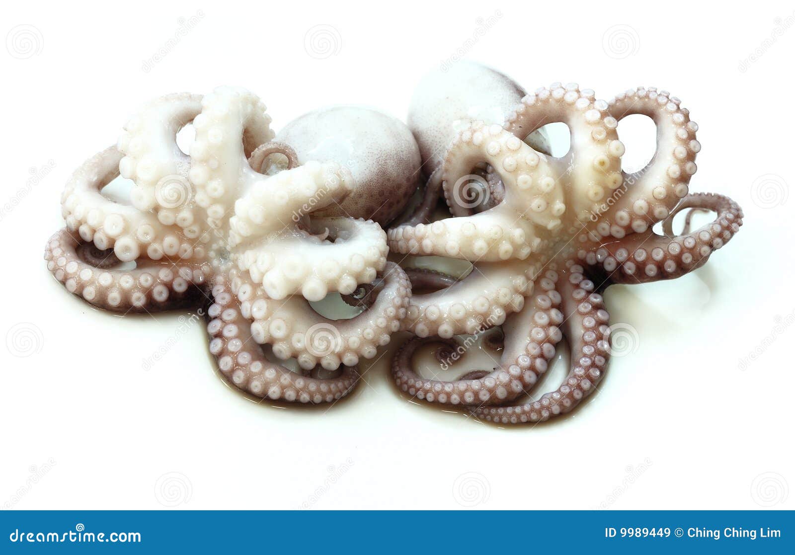 Two cooked octopus stock image. Image of restaurant, food - 9989449