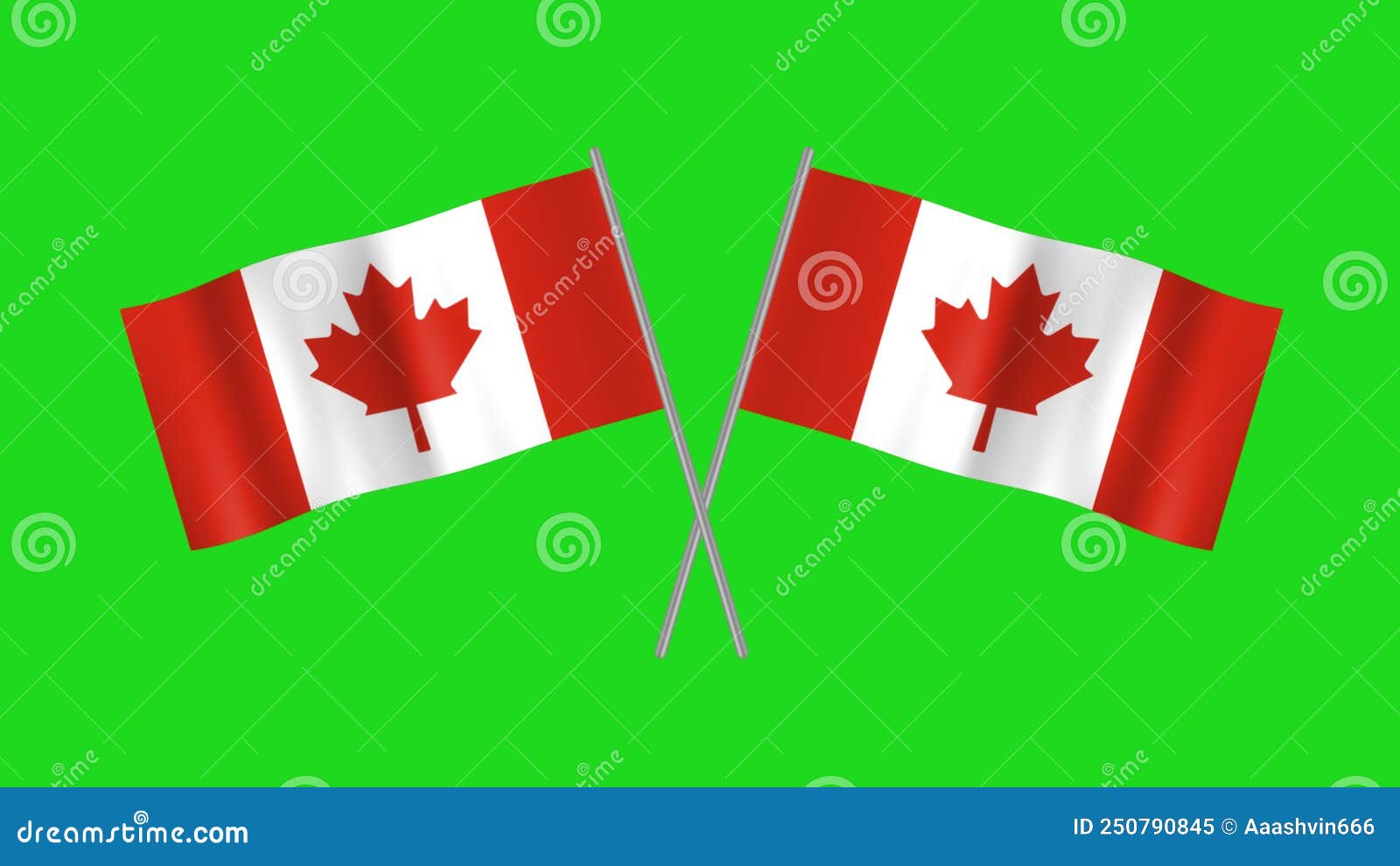 Two Crossed Canada Flag Isolated Stock Illustration Illustration of