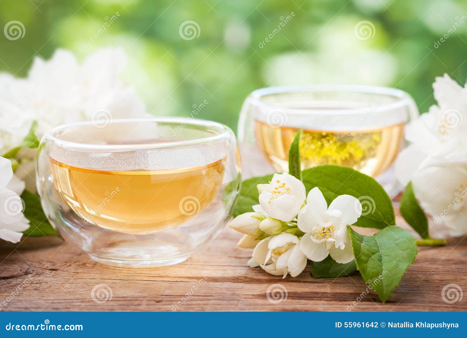 Two Cups of Healthy Jasmine Tea. Stock Photo Image of drug