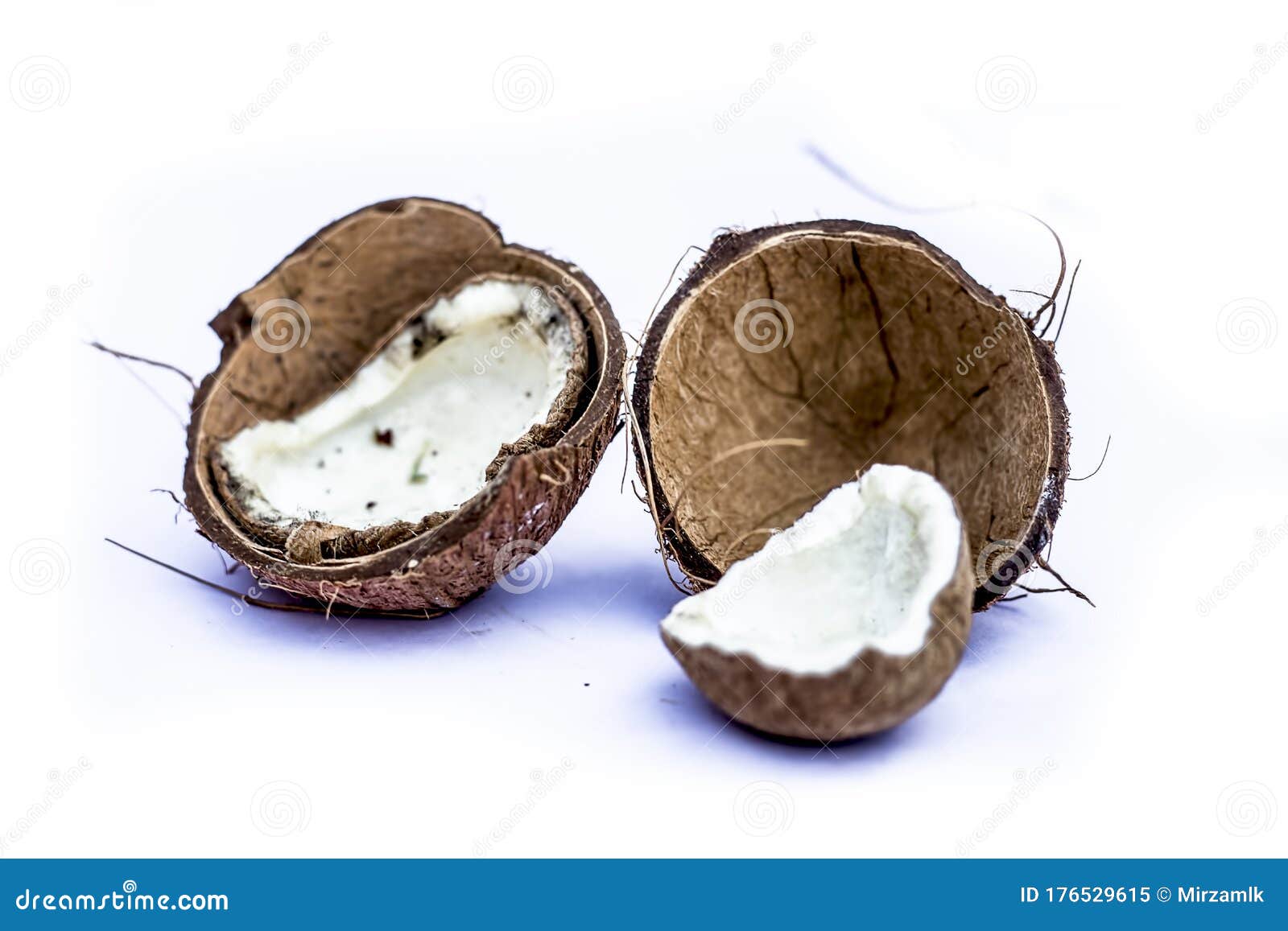 Two Cut or Sliced Dried Coconuts Isolated on White with Dry Flash in it