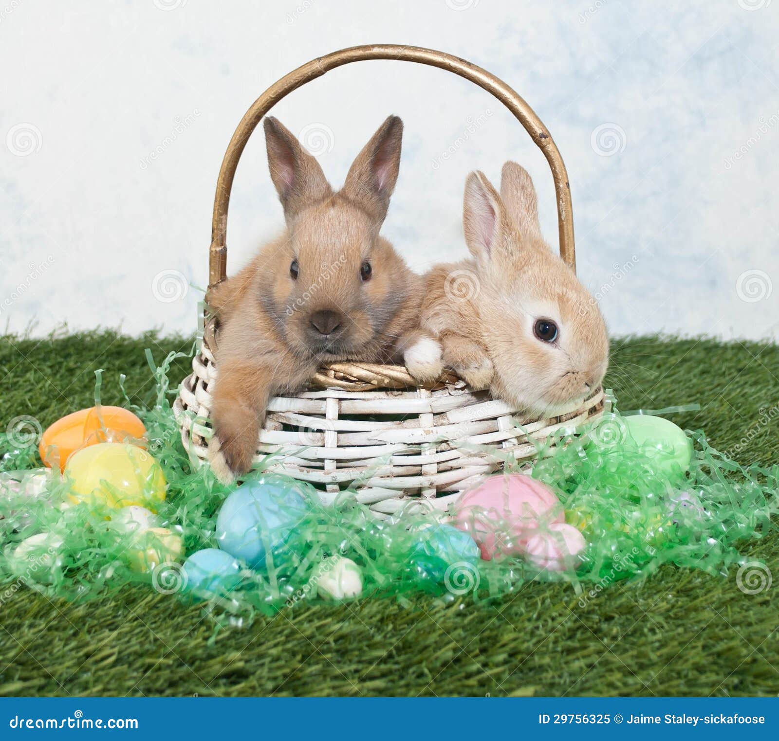 two easter bunnies